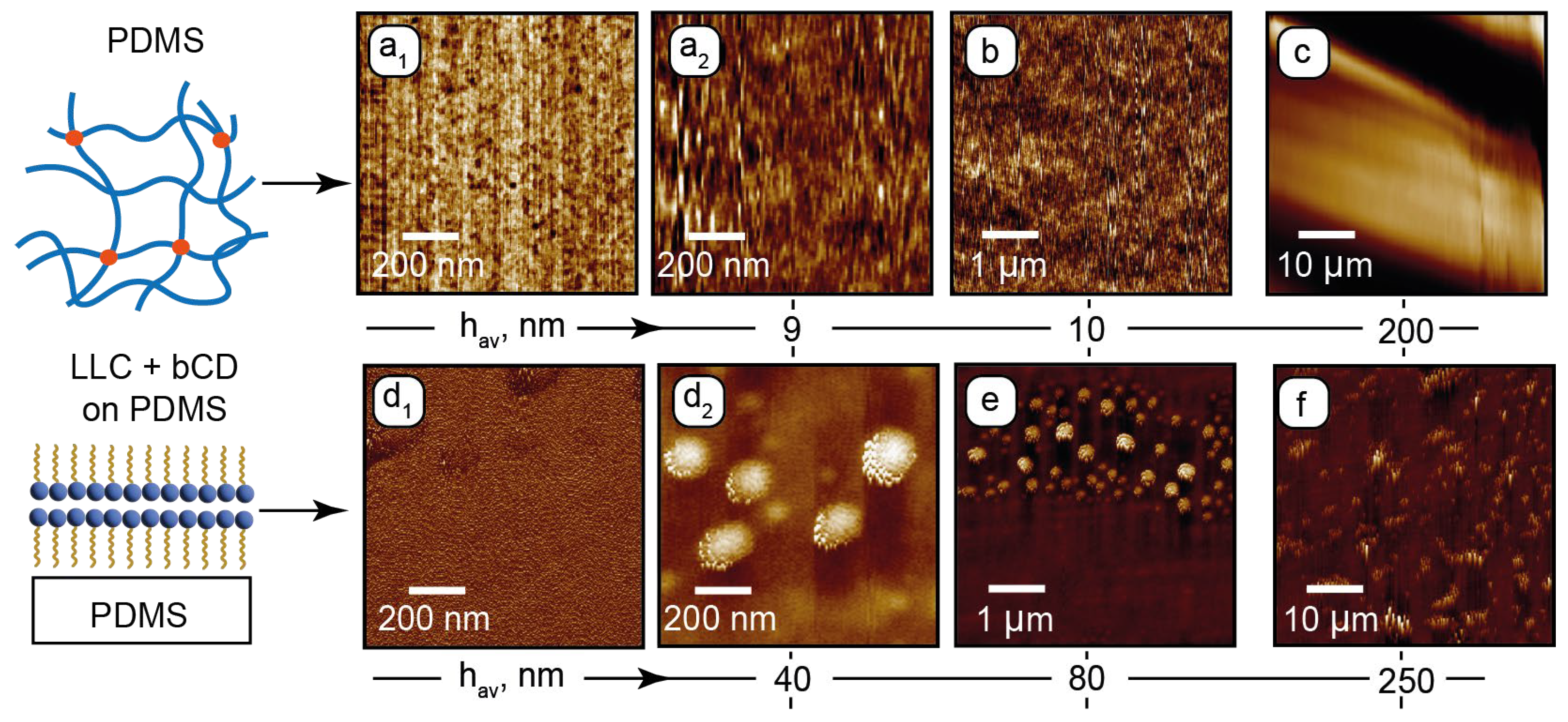 Nanomaterials 15 01682 g002