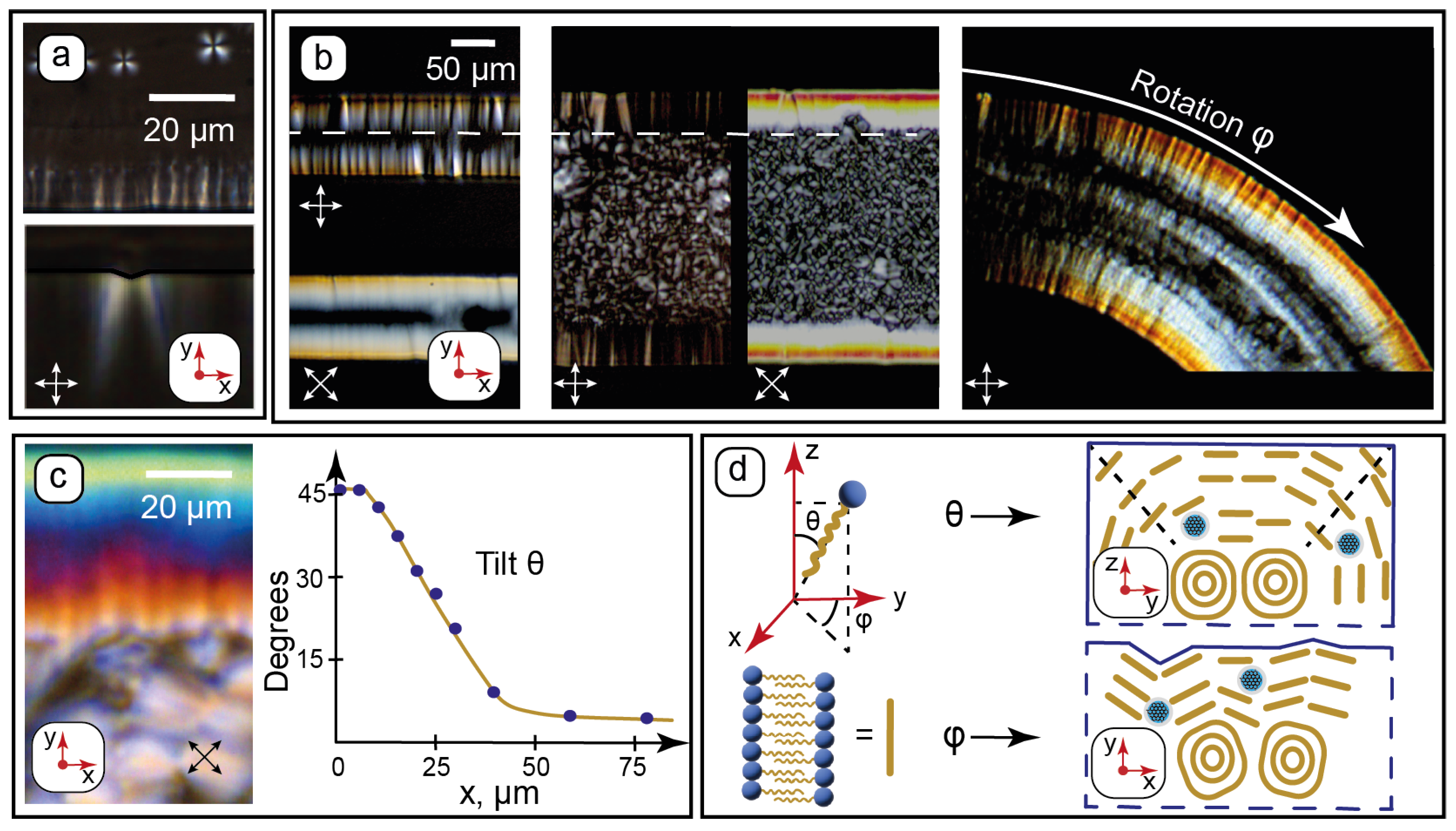 Nanomaterials 15 01682 g003