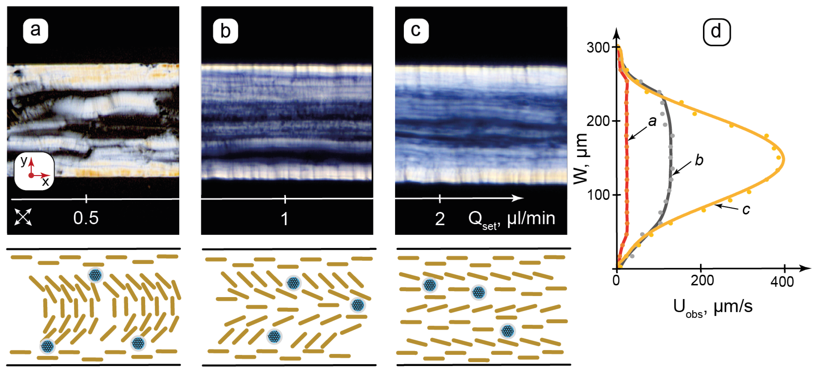Nanomaterials 15 01682 g004