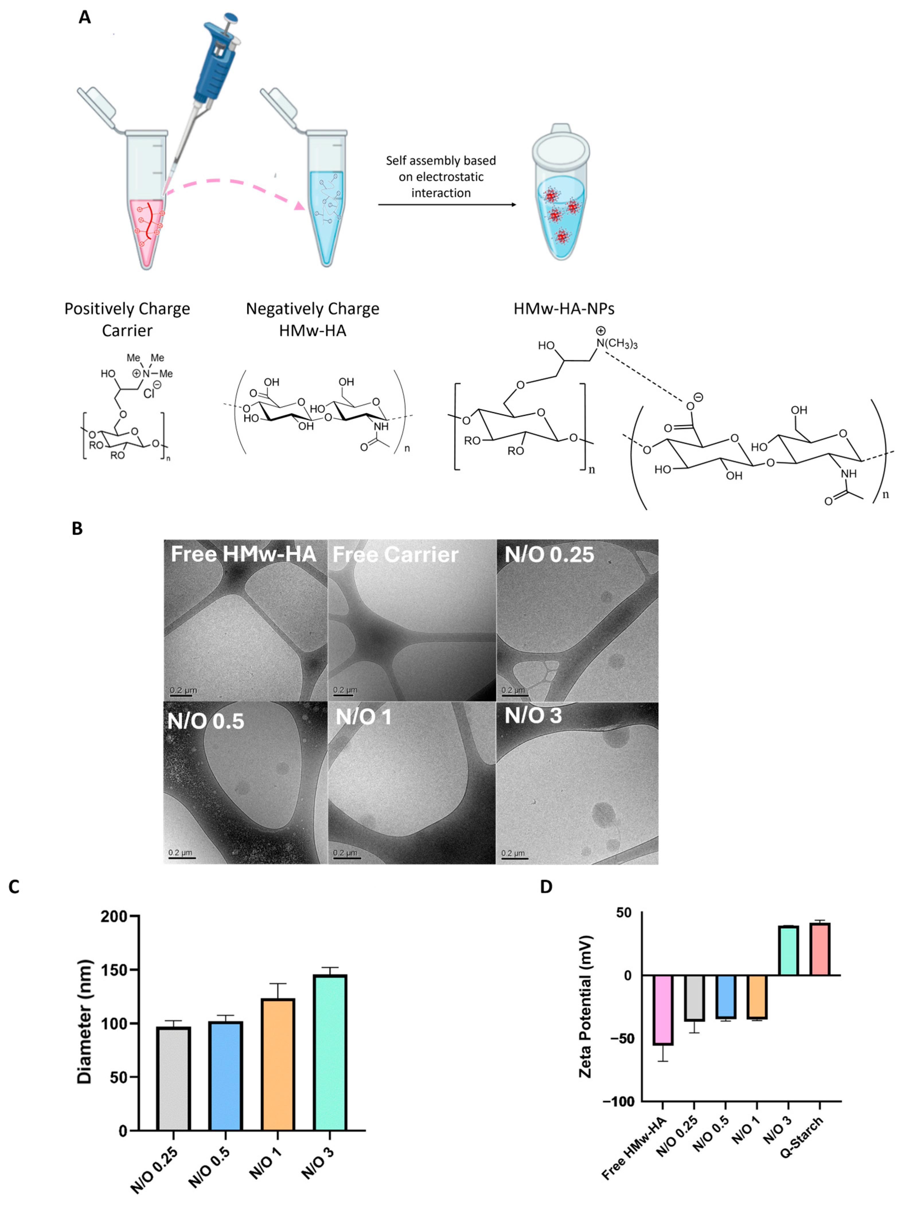 Nanomaterials 15 01739 g002 Nanomaterials 15 01739 g002