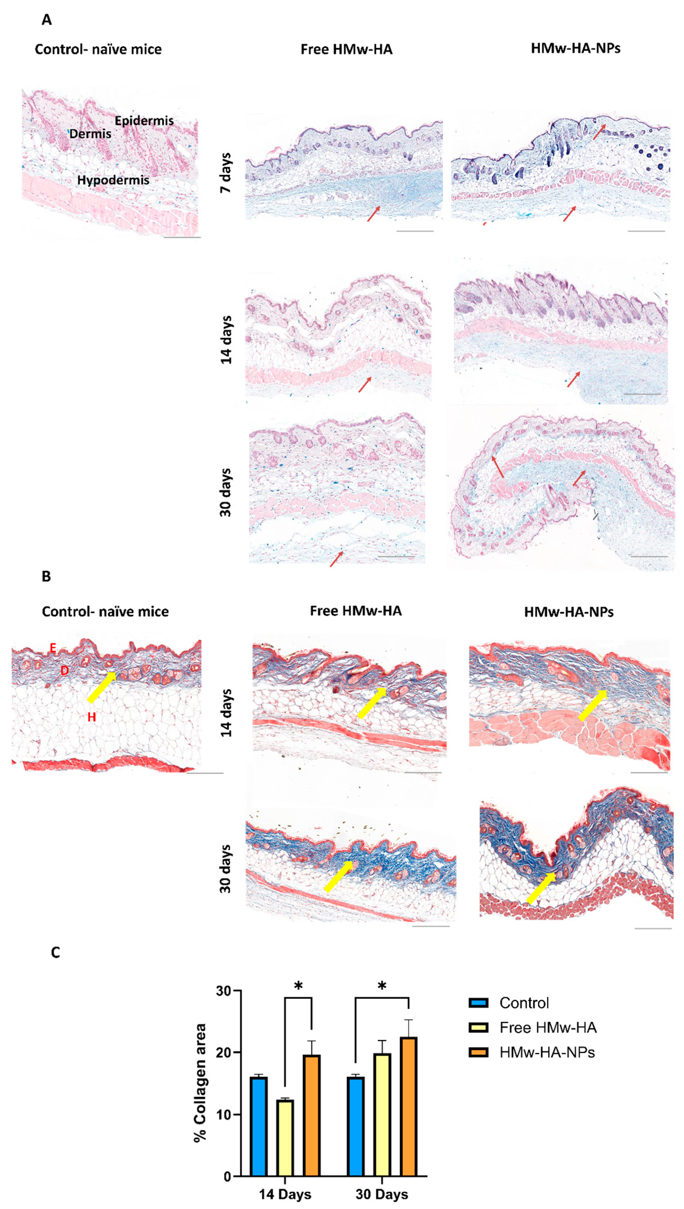 Nanomaterials 15 01739 g006 Nanomaterials 15 01739 g006