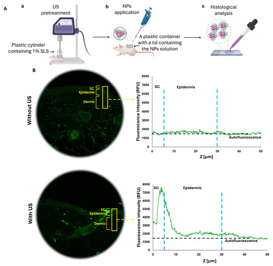 Nanomaterials 15 01739 g008a Nanomaterials 15 01739 g008a