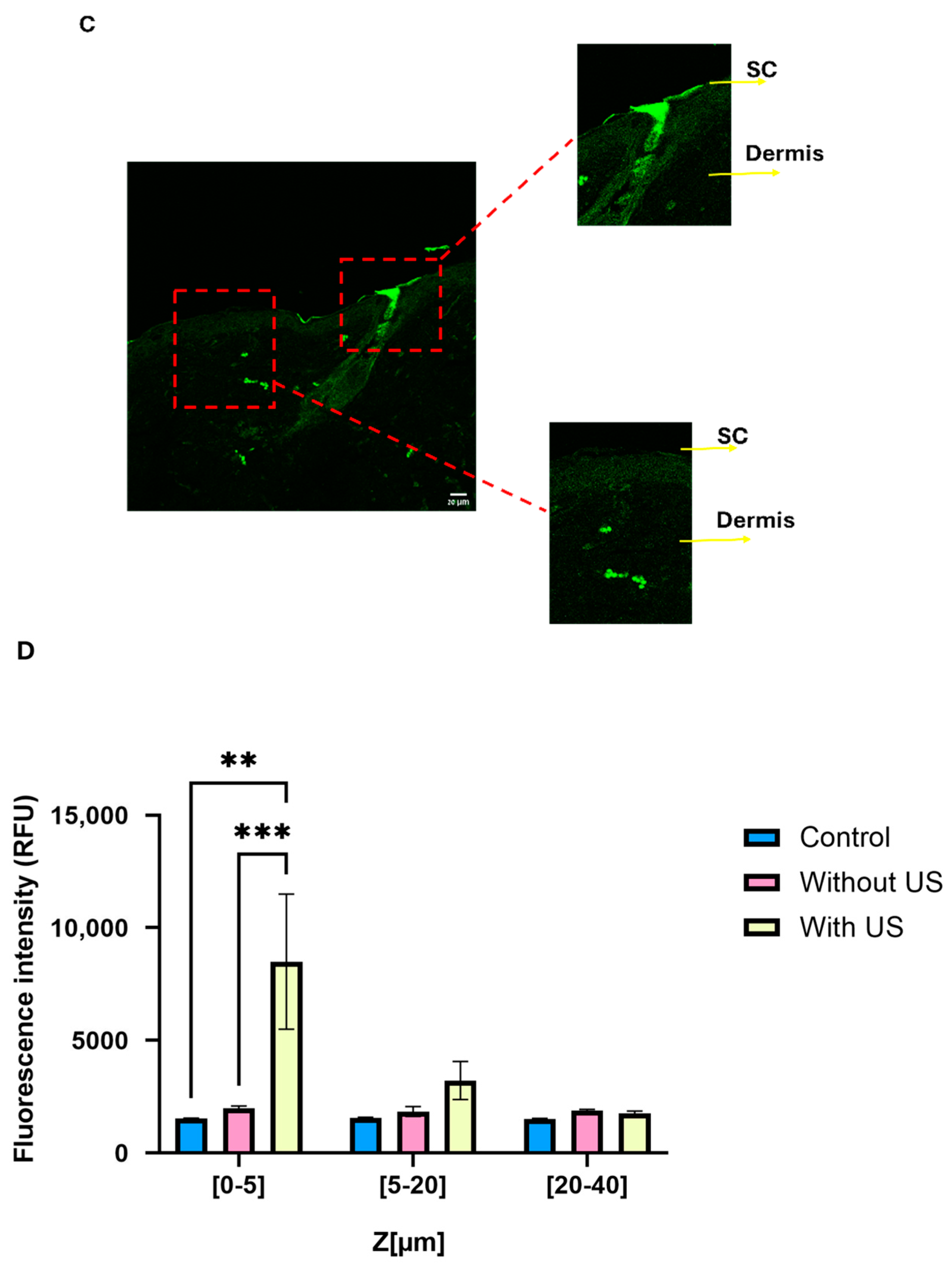 Nanomaterials 15 01739 g008b Nanomaterials 15 01739 g008b