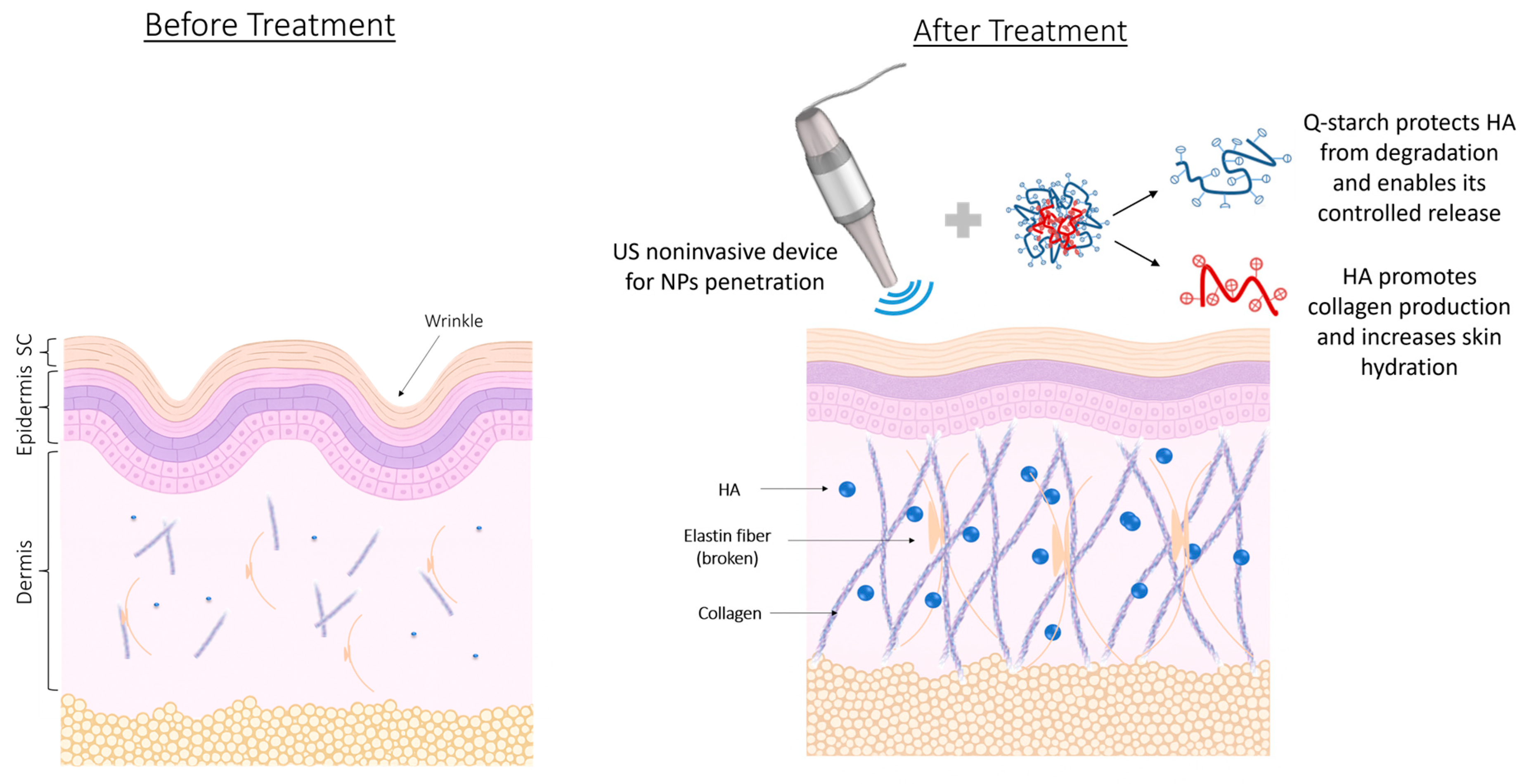 Nanomaterials 15 01739 g010 Nanomaterials 15 01739 g010