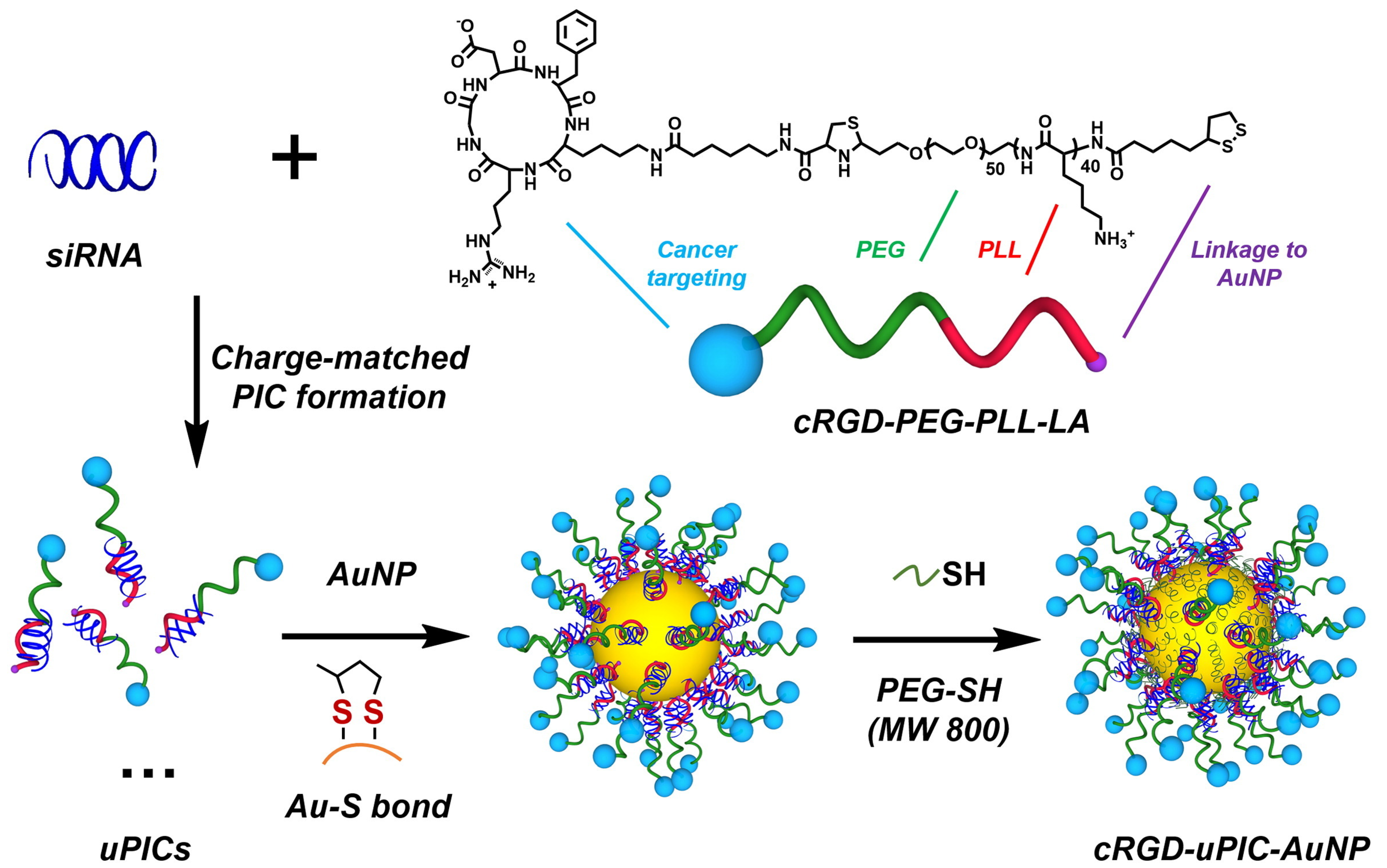 Nanomaterials 15 01744 g004 Nanomaterials 15 01744 g004