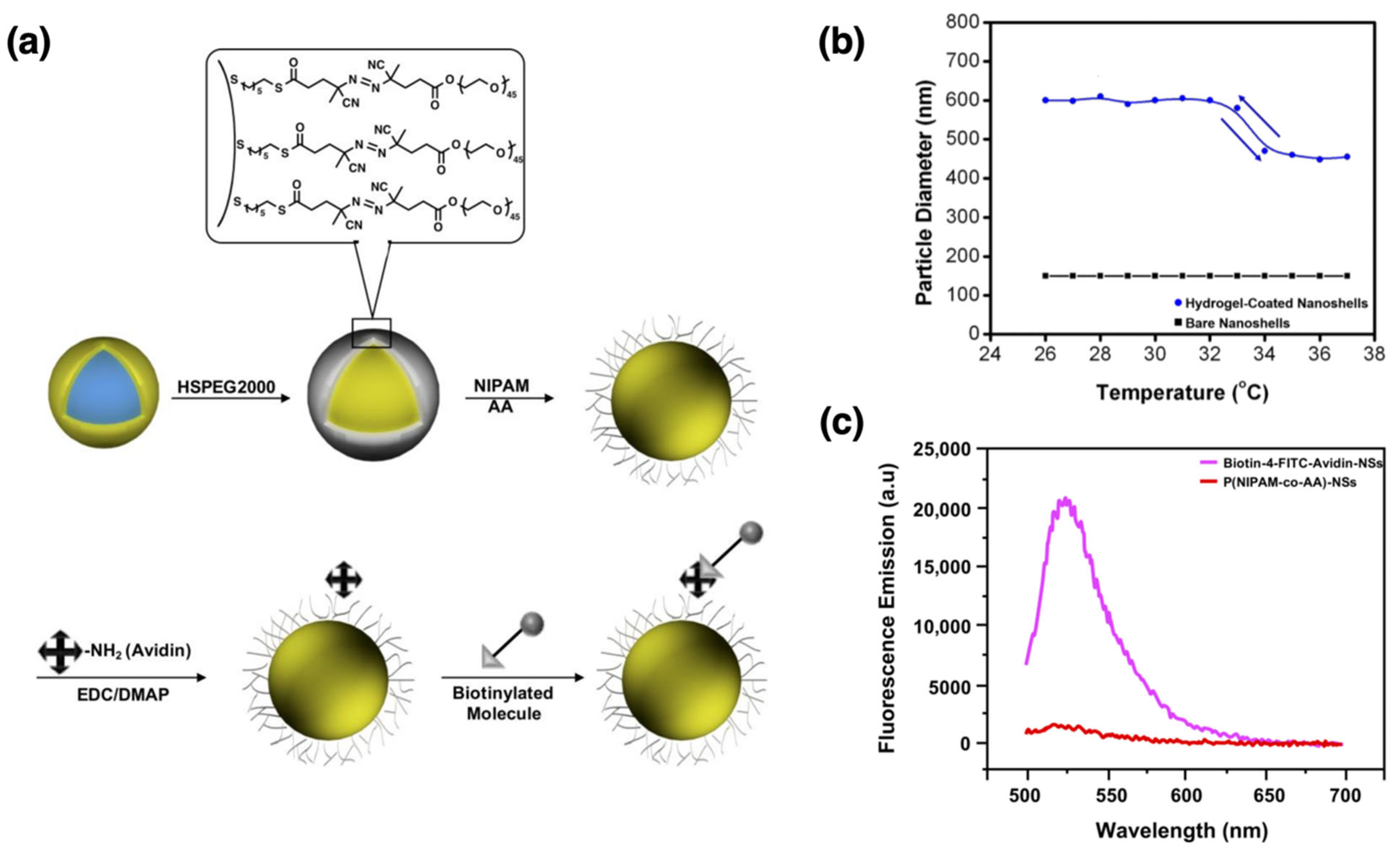 Nanomaterials 15 01744 g005 Nanomaterials 15 01744 g005