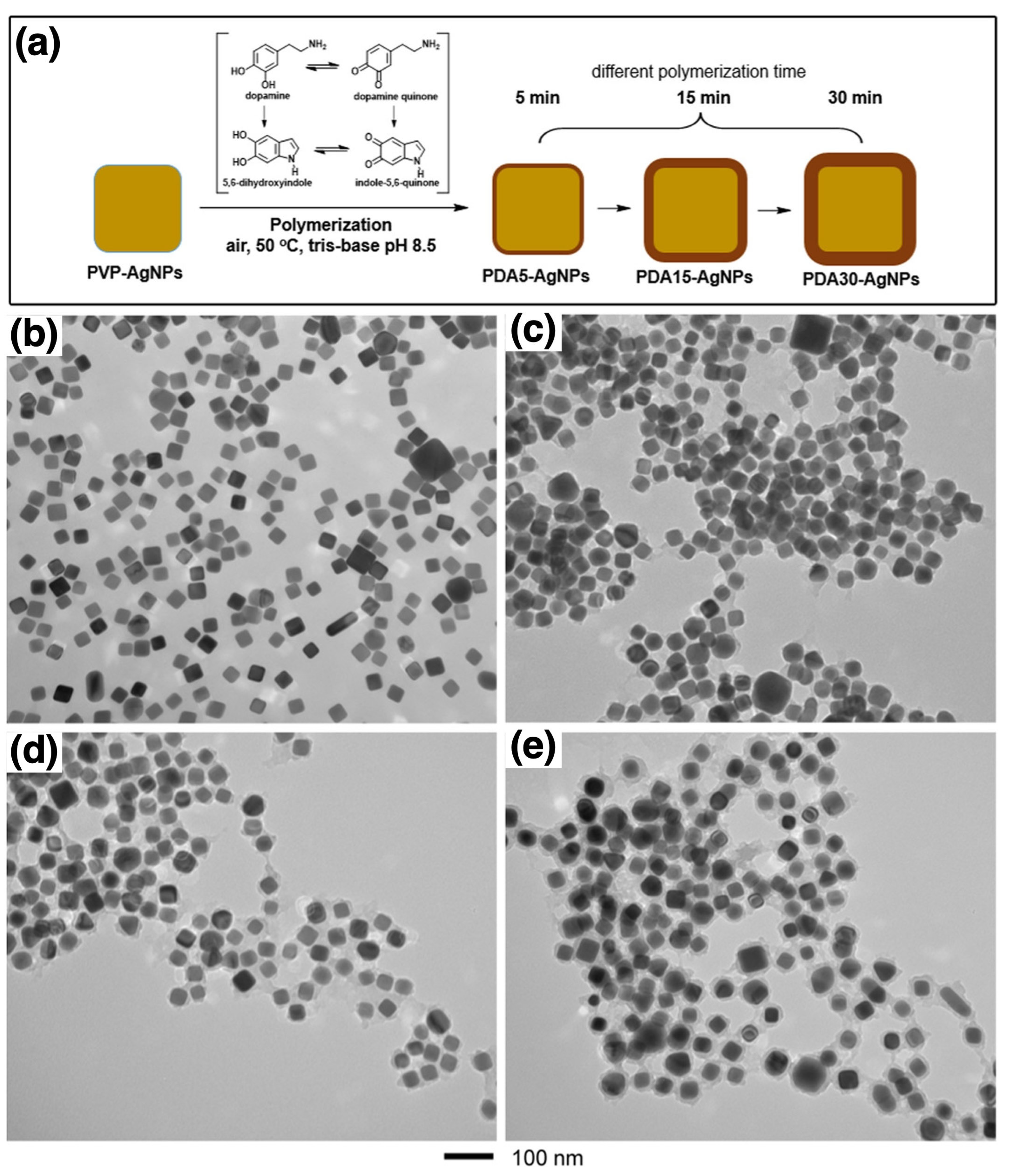 Nanomaterials 15 01744 g007 Nanomaterials 15 01744 g007