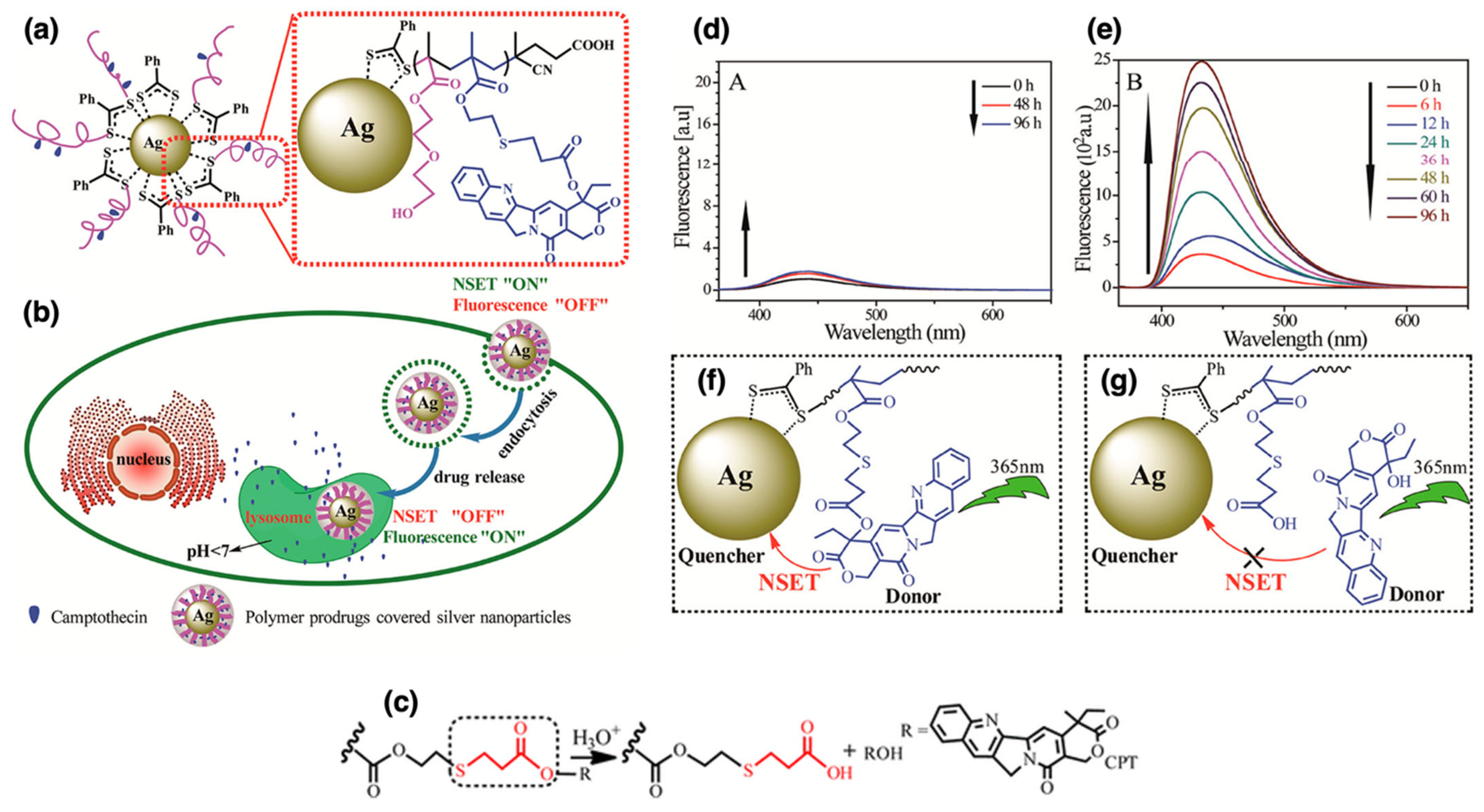 Nanomaterials 15 01744 g009 Nanomaterials 15 01744 g009