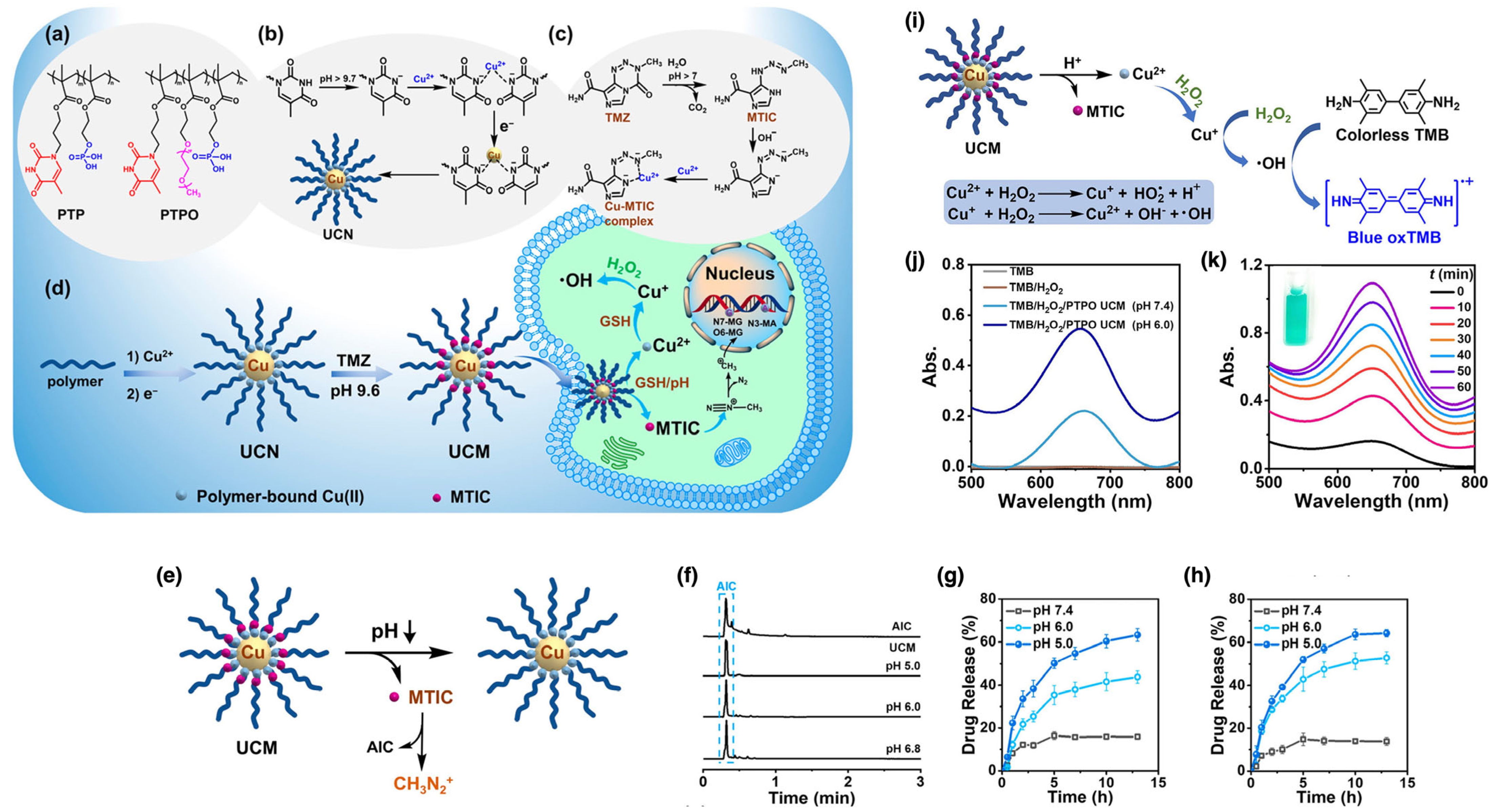 Nanomaterials 15 01744 g010 Nanomaterials 15 01744 g010