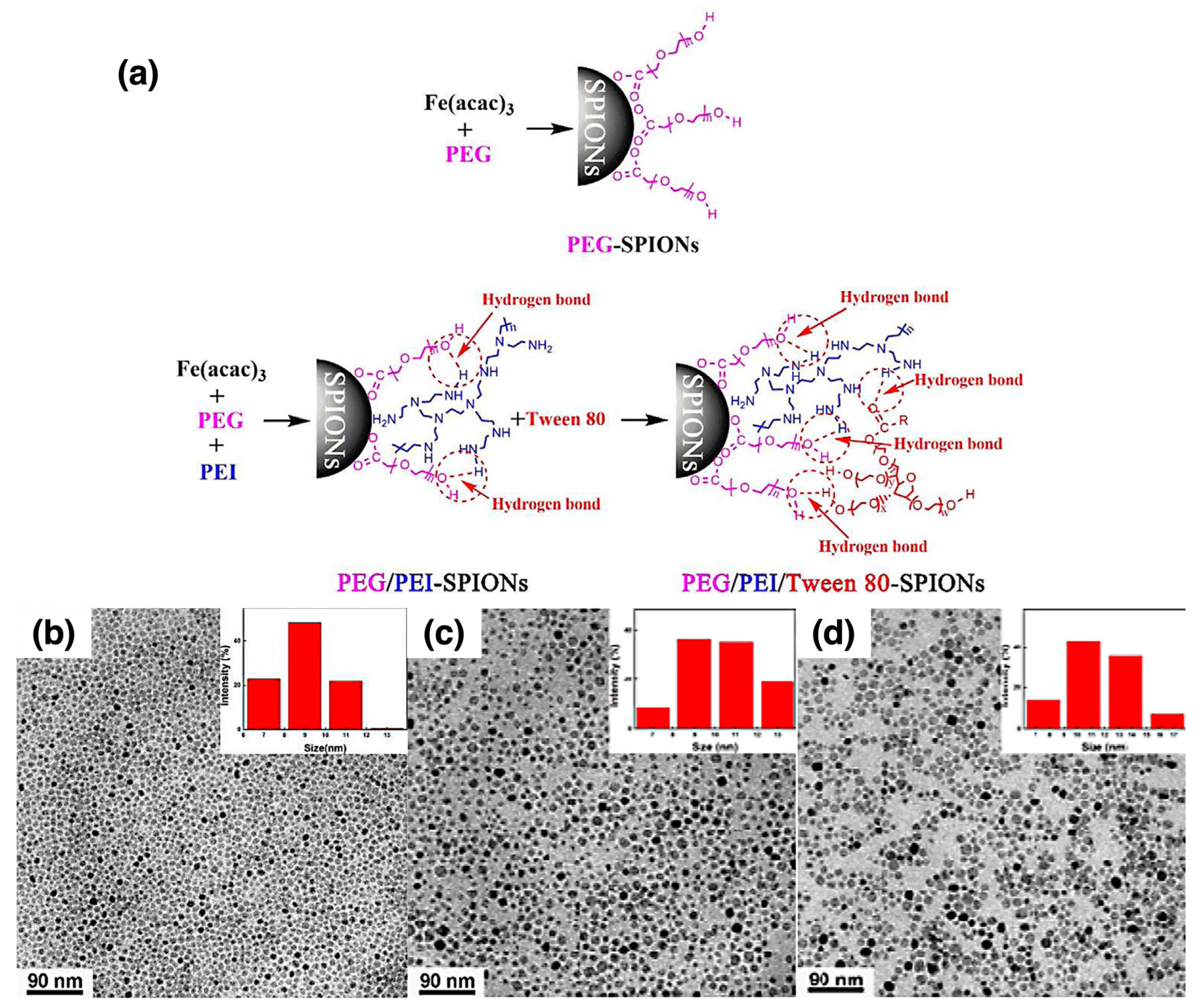 Nanomaterials 15 01744 g013 Nanomaterials 15 01744 g013