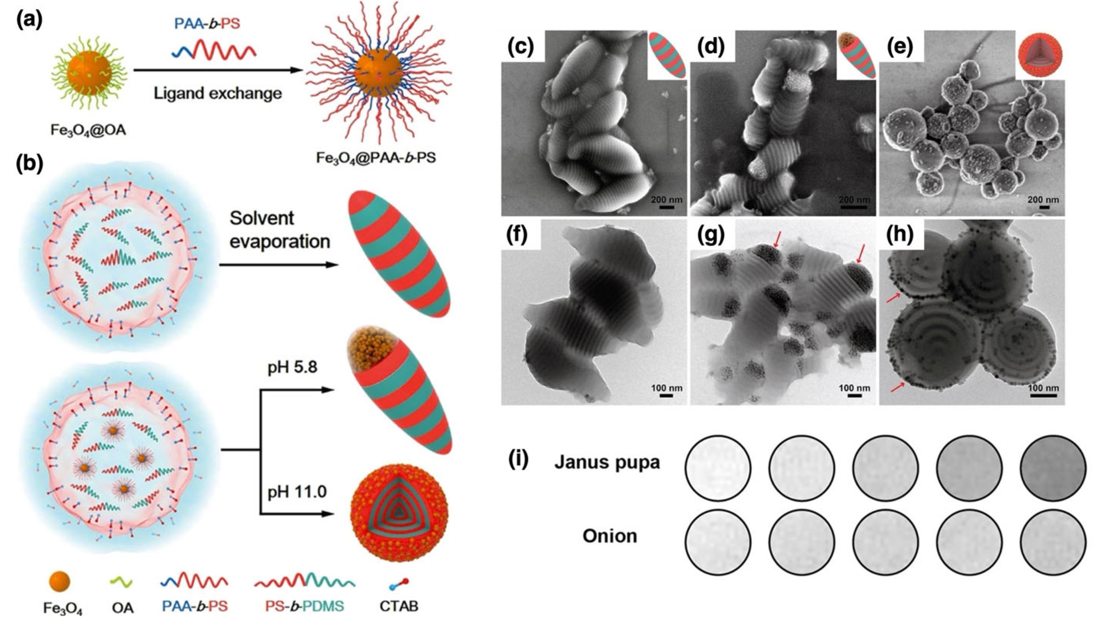Nanomaterials 15 01744 g014 Nanomaterials 15 01744 g014