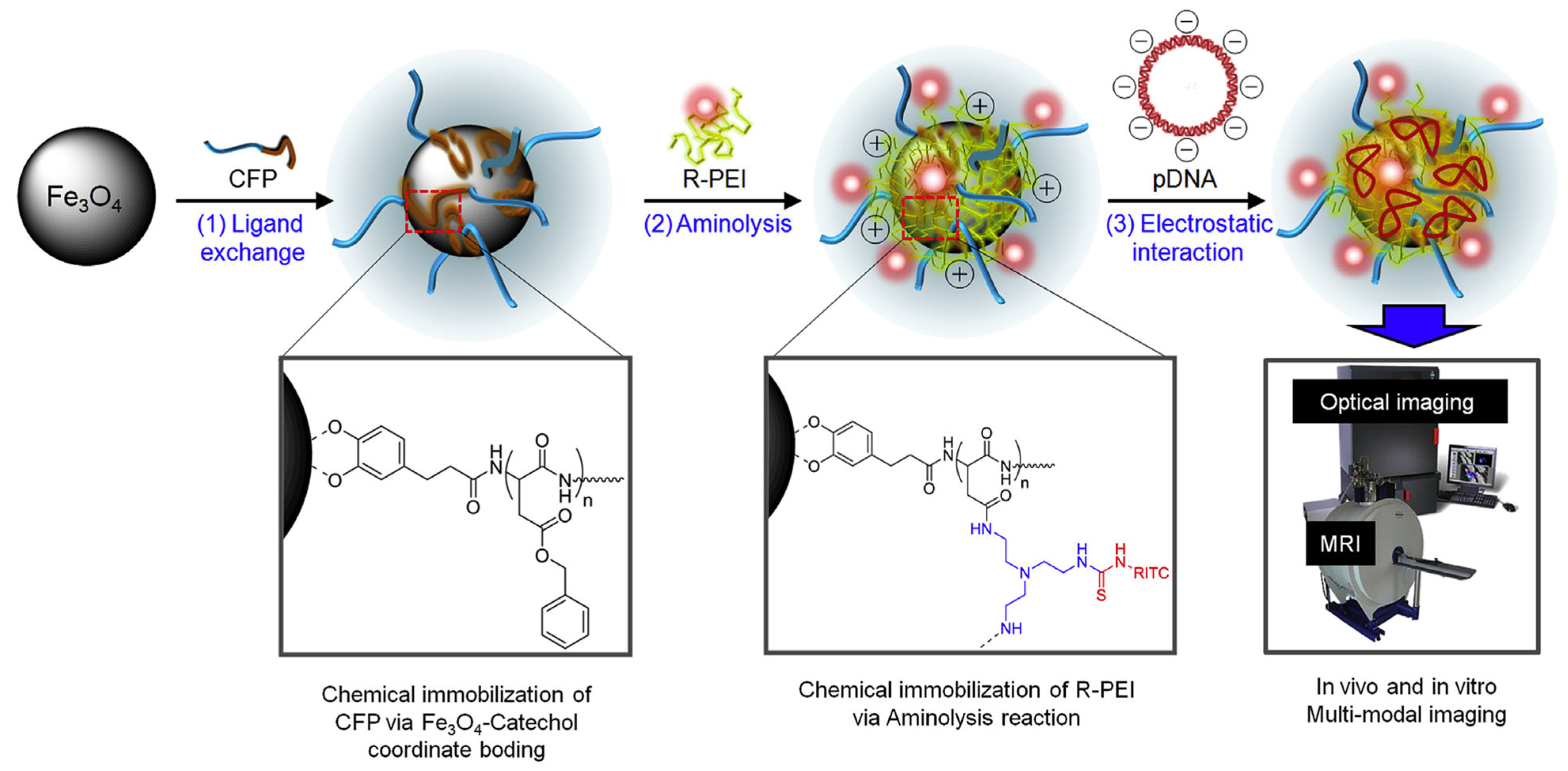Nanomaterials 15 01744 g015 Nanomaterials 15 01744 g015