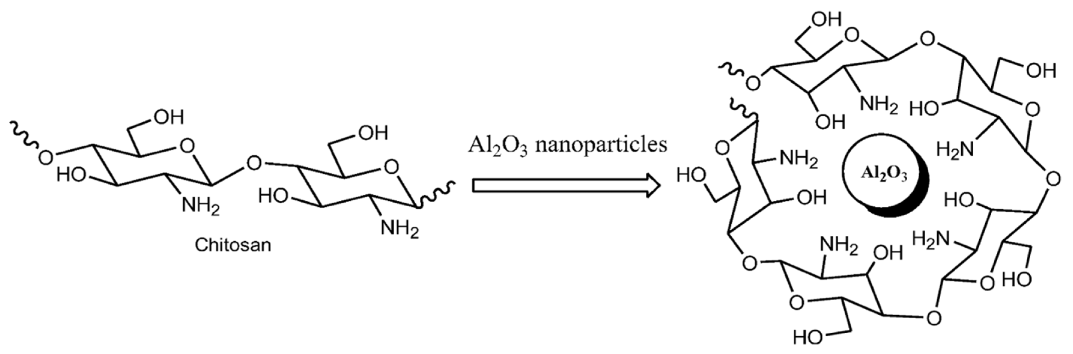 Nanomaterials 15 01744 g018 Nanomaterials 15 01744 g018