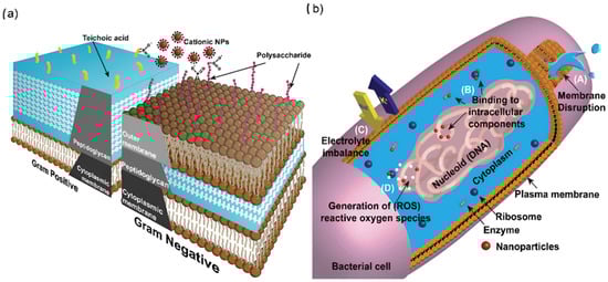Nanomaterials 15 01773 g003
