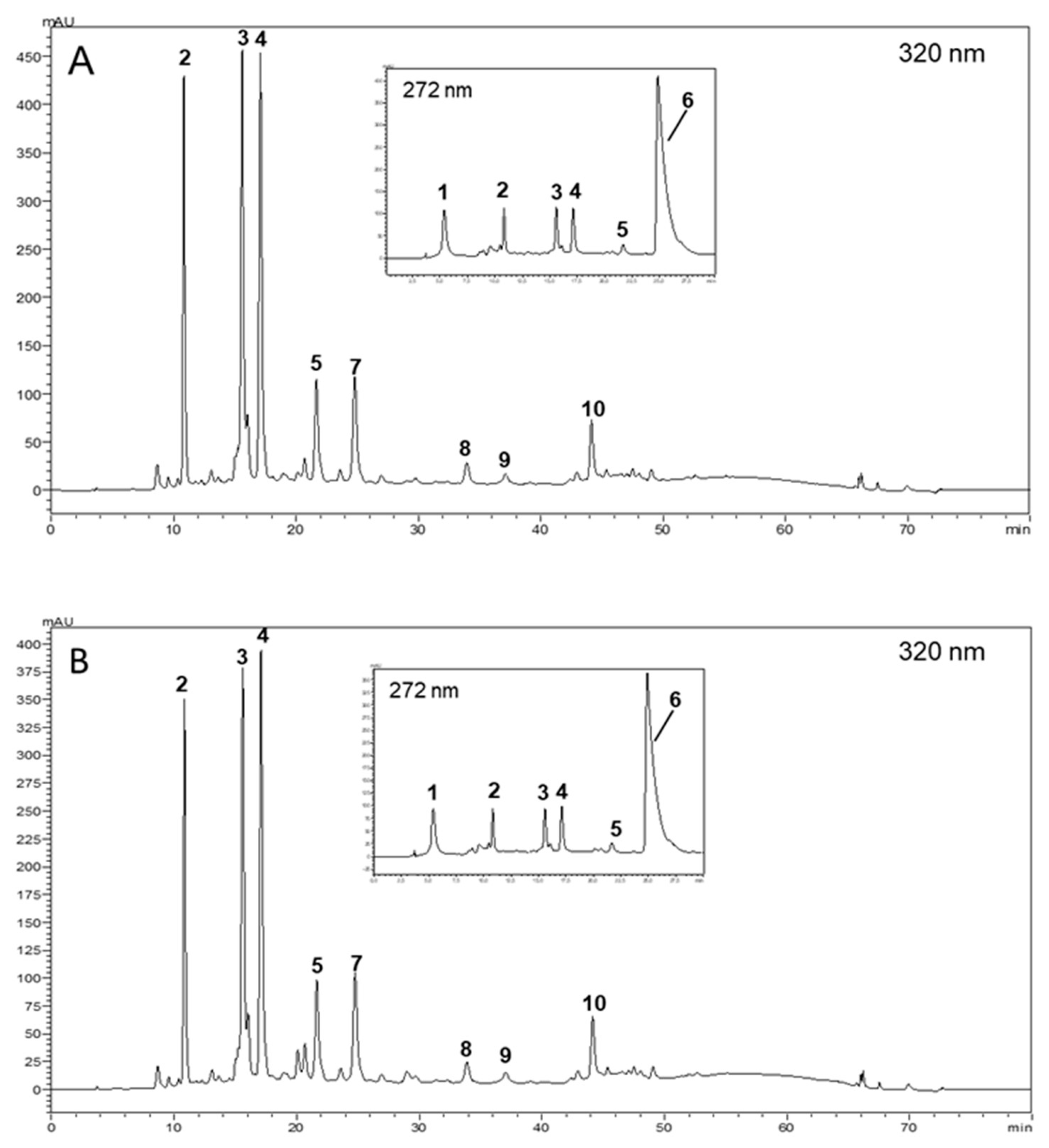 Nanomaterials 15 01788 g001