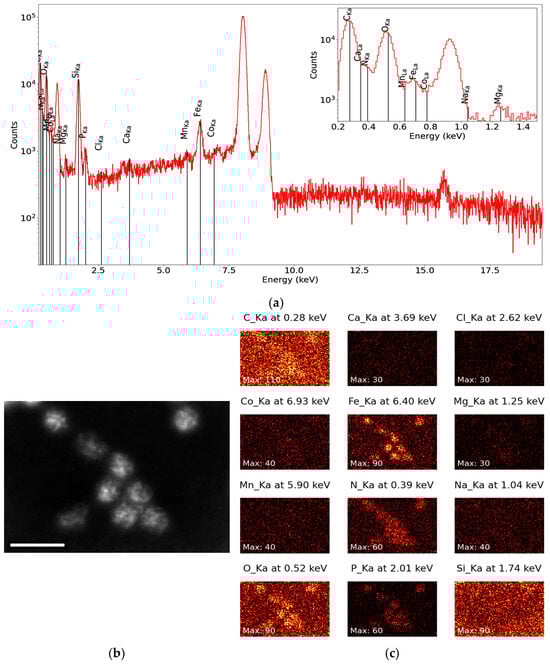 Nanomaterials 15 01793 g0a2