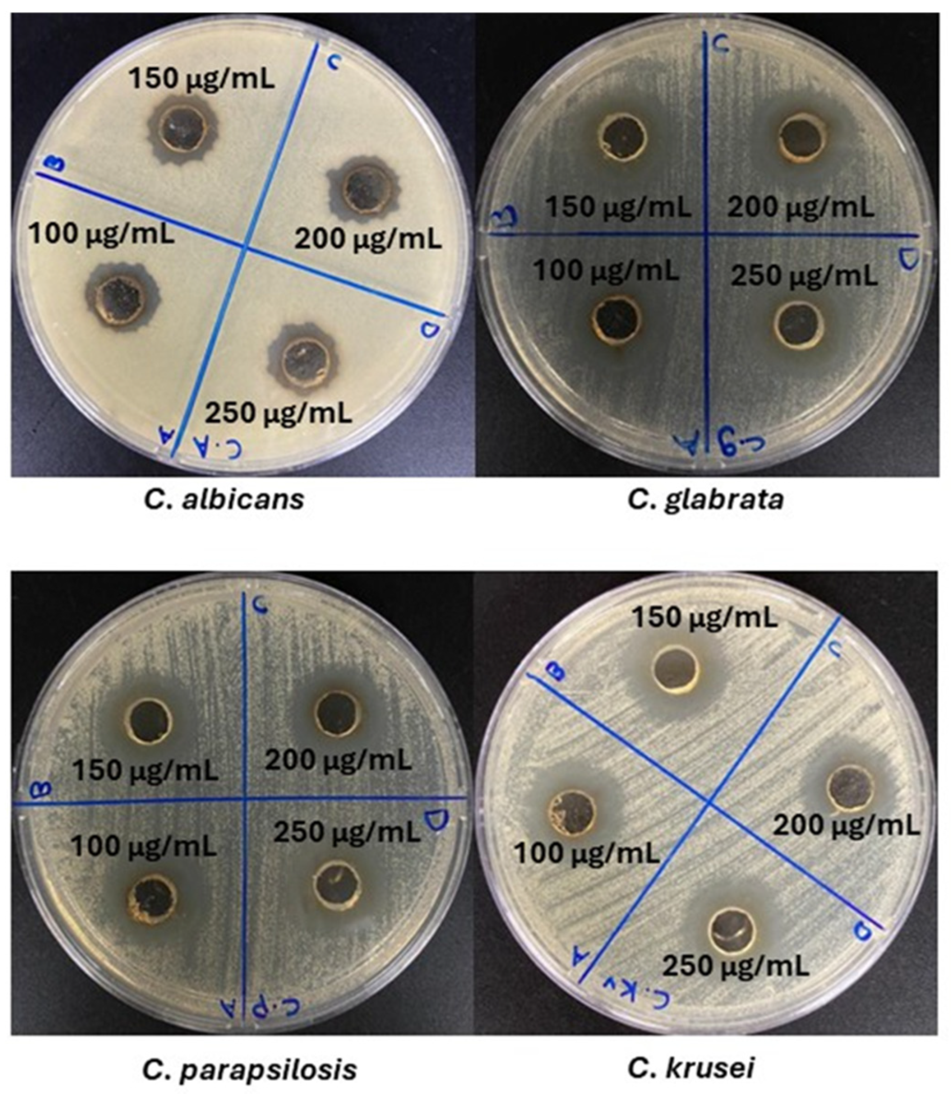 Nanomaterials 15 01821 g006