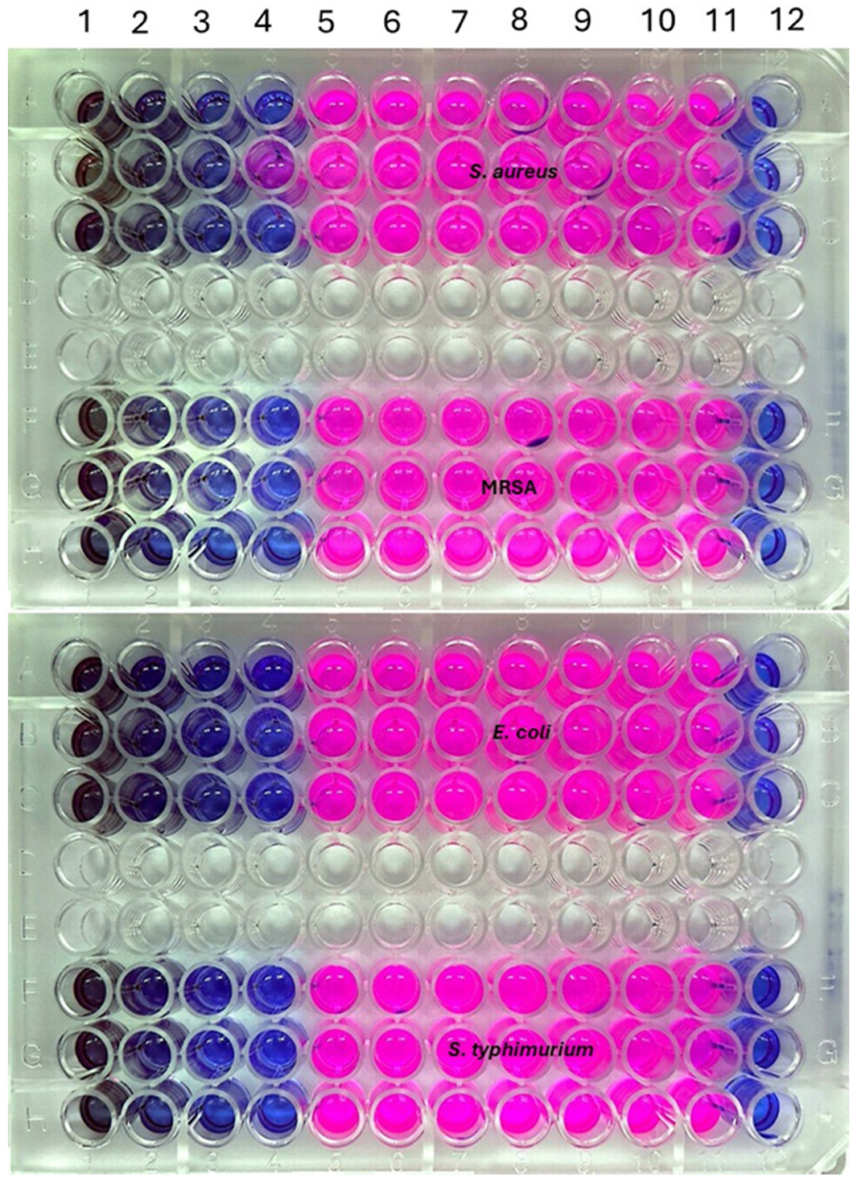 Nanomaterials 15 01821 g007