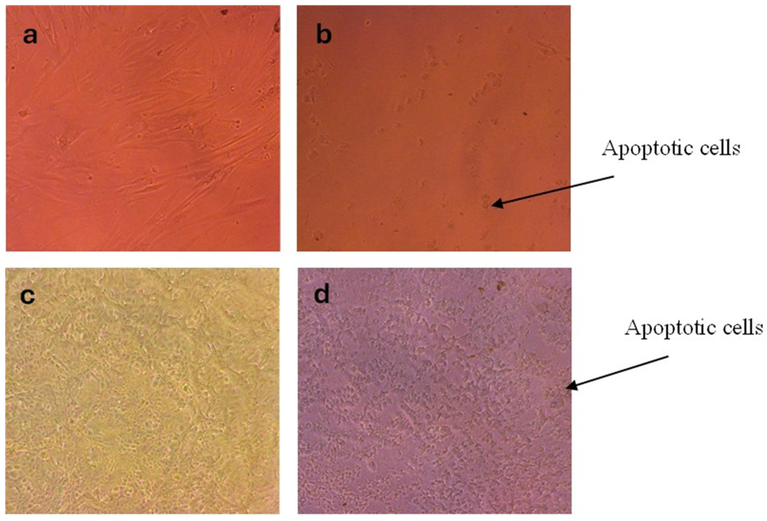 Nanomaterials 15 01821 g010