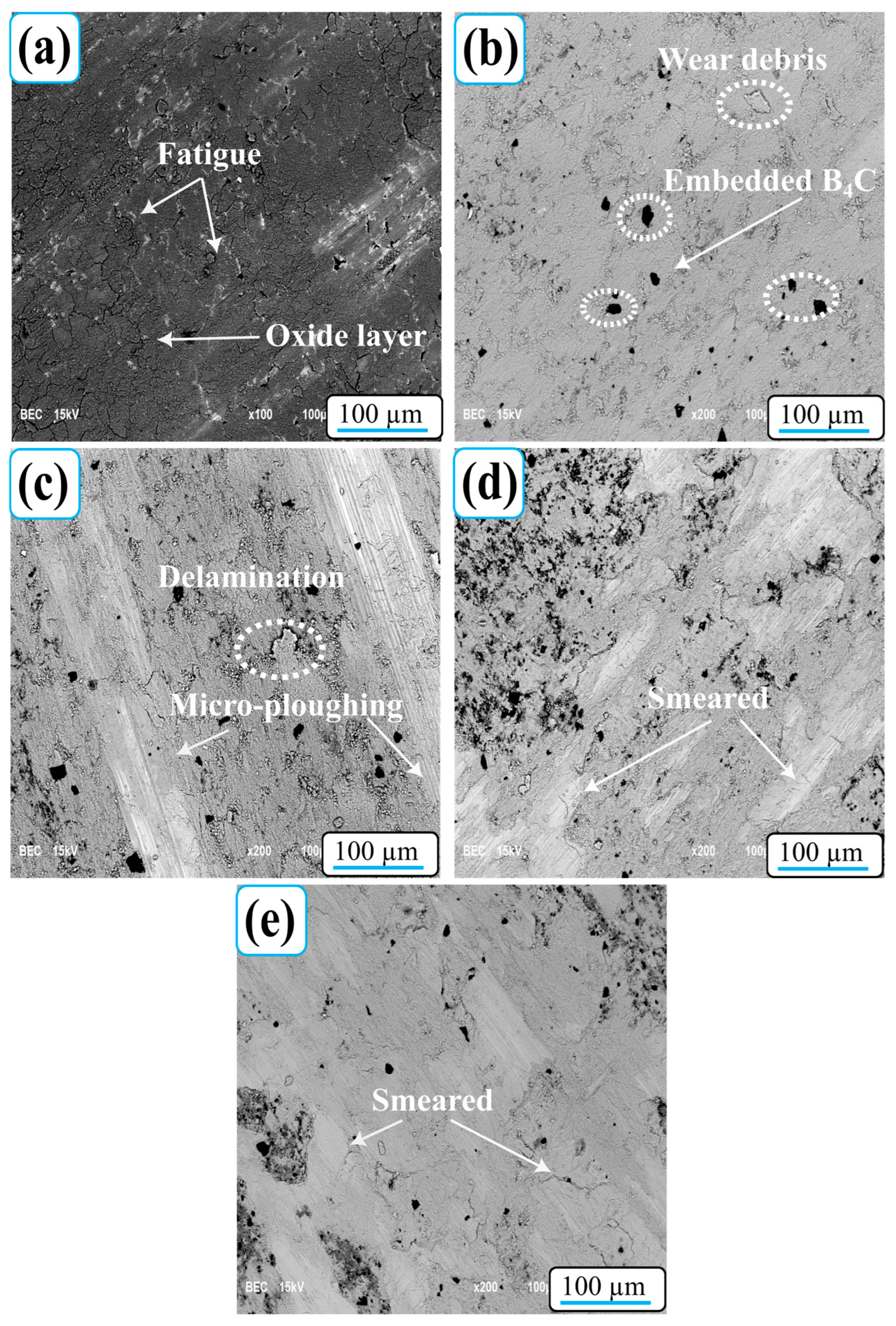 Nanomaterials 15 01836 g007