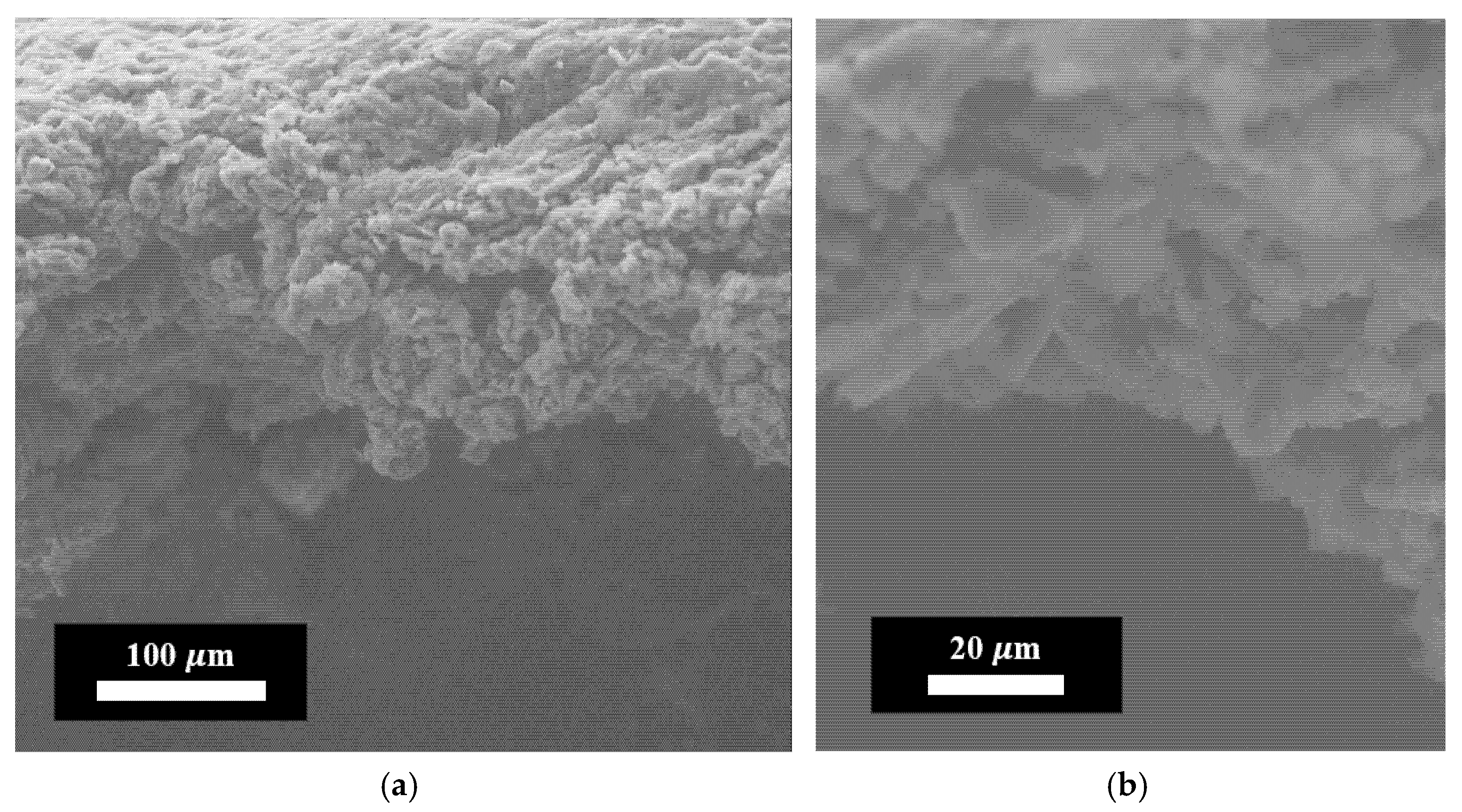 Nanomaterials 15 01841 g006 Nanomaterials 15 01841 g006