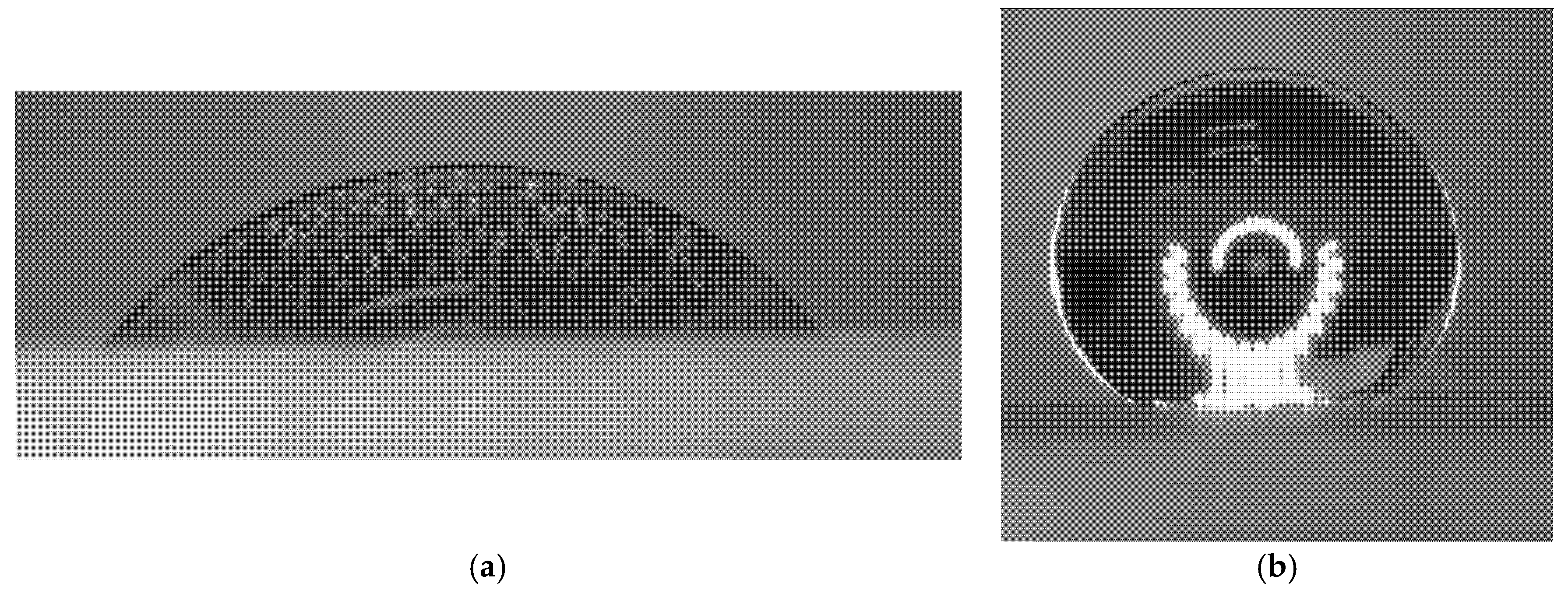 Nanomaterials 15 01841 g012 Nanomaterials 15 01841 g012