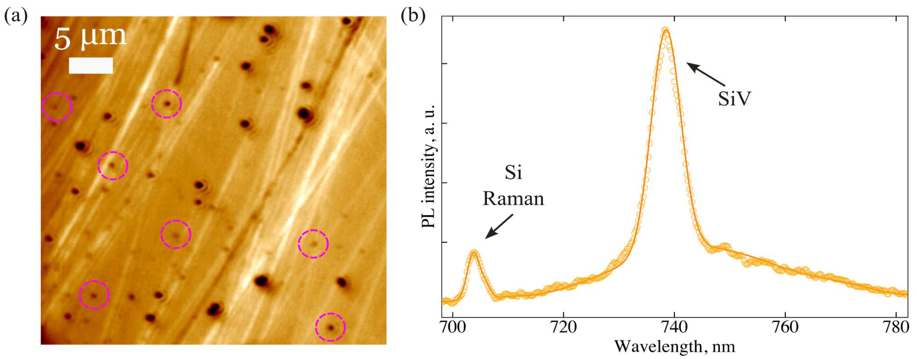 Nanomaterials 15 01842 g002 Nanomaterials 15 01842 g002