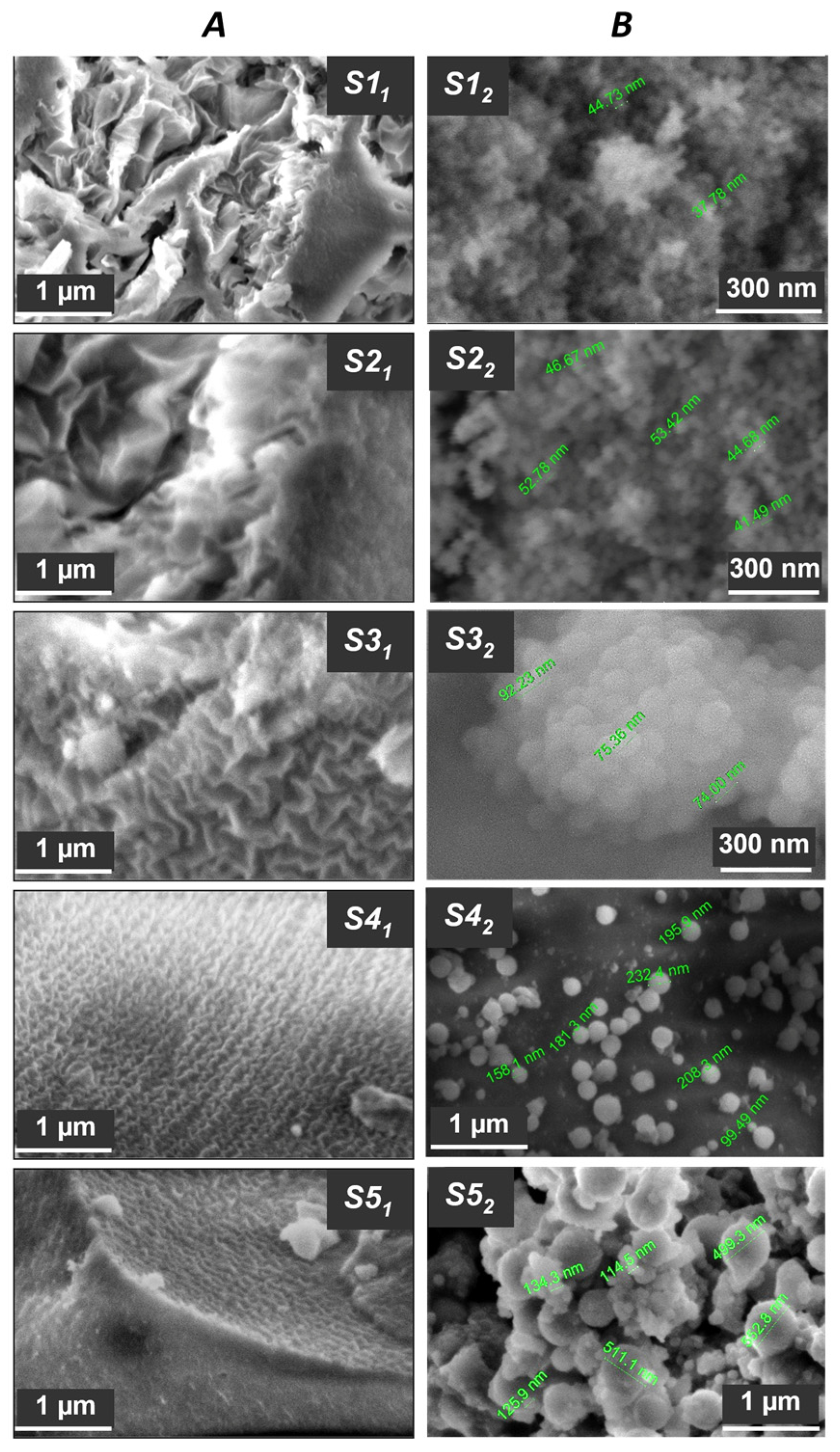Nanomaterials 15 01859 g005 Nanomaterials 15 01859 g005