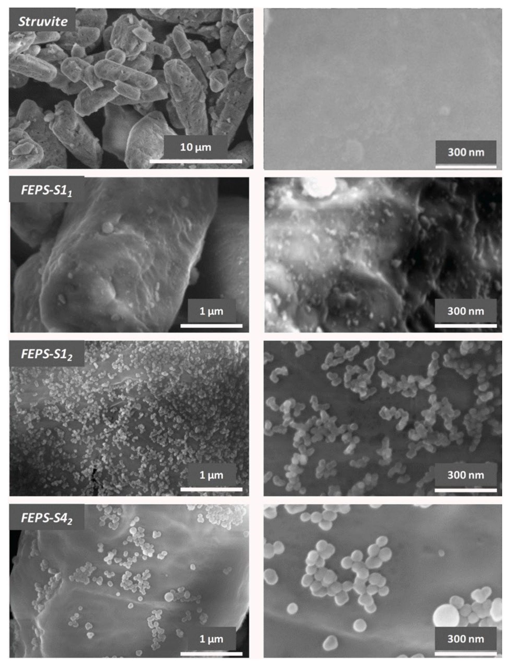 Nanomaterials 15 01859 g008 Nanomaterials 15 01859 g008