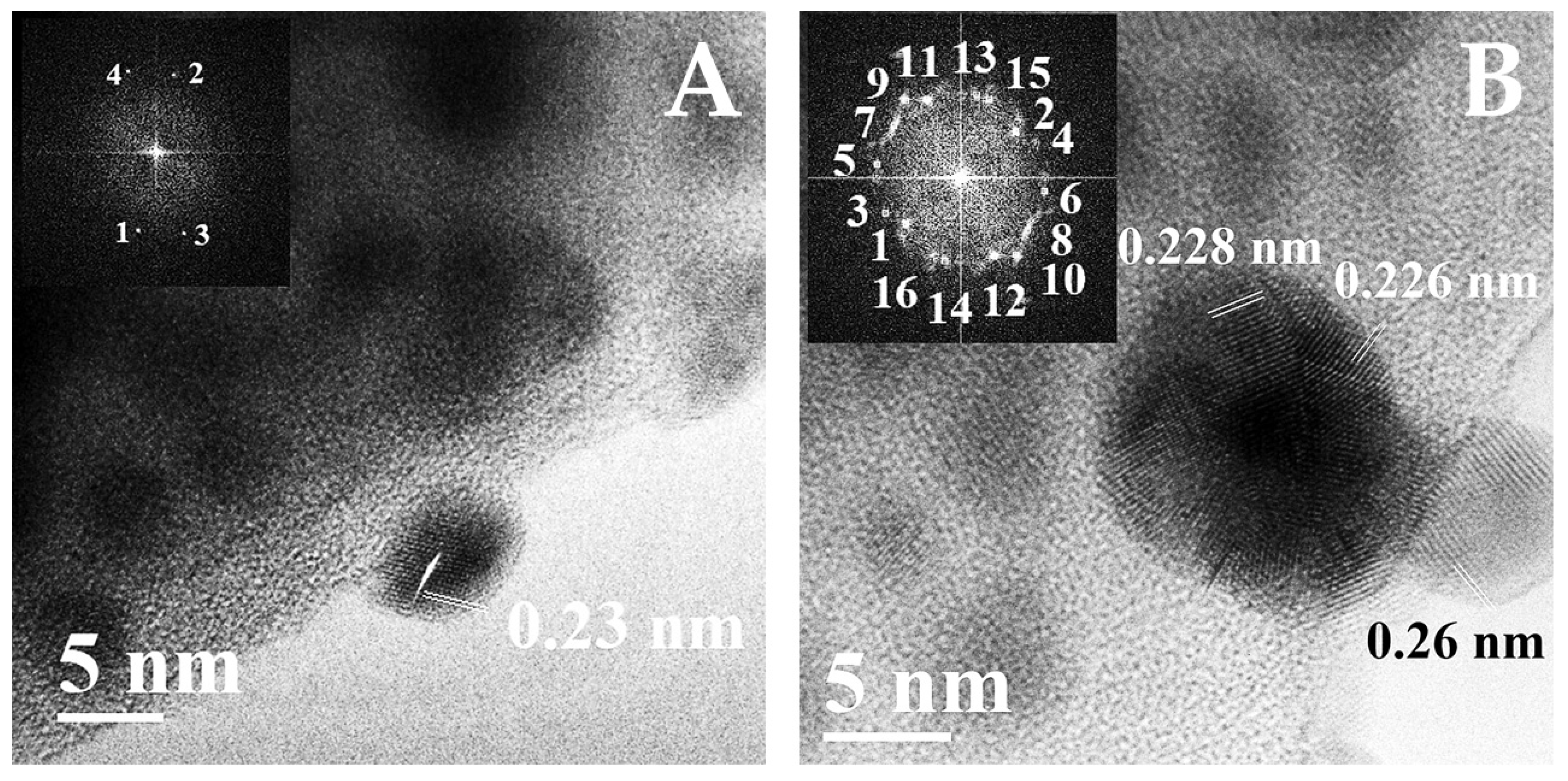 Nanomaterials 15 01875 g005 Nanomaterials 15 01875 g005