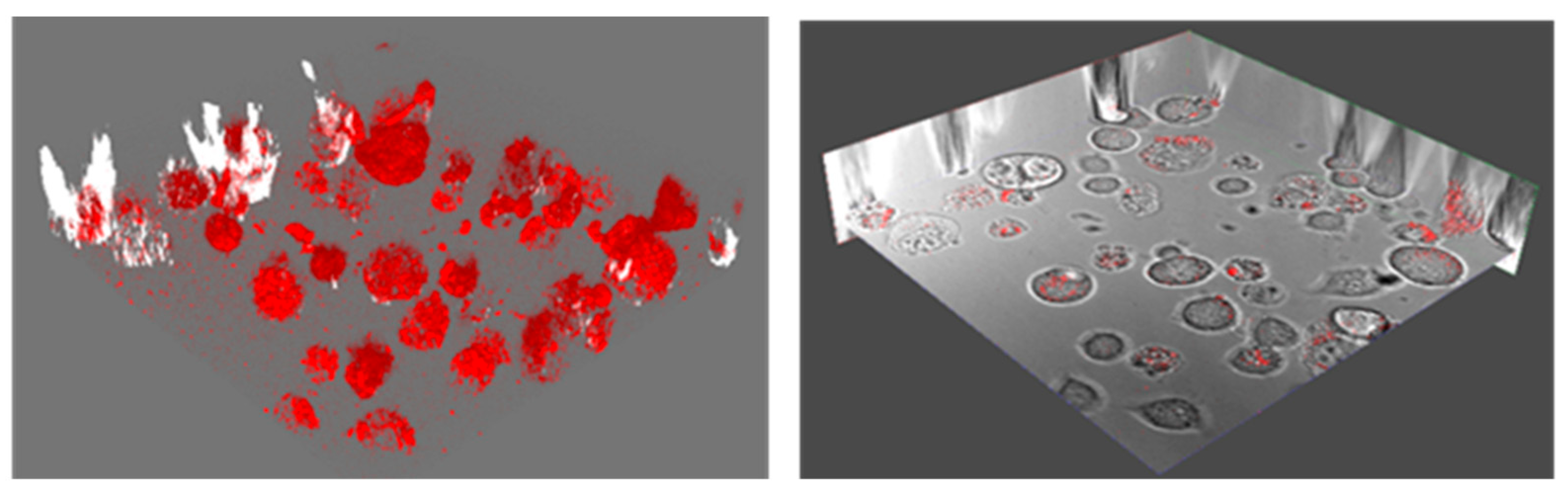 Nanomaterials 15 01879 g003 Nanomaterials 15 01879 g003