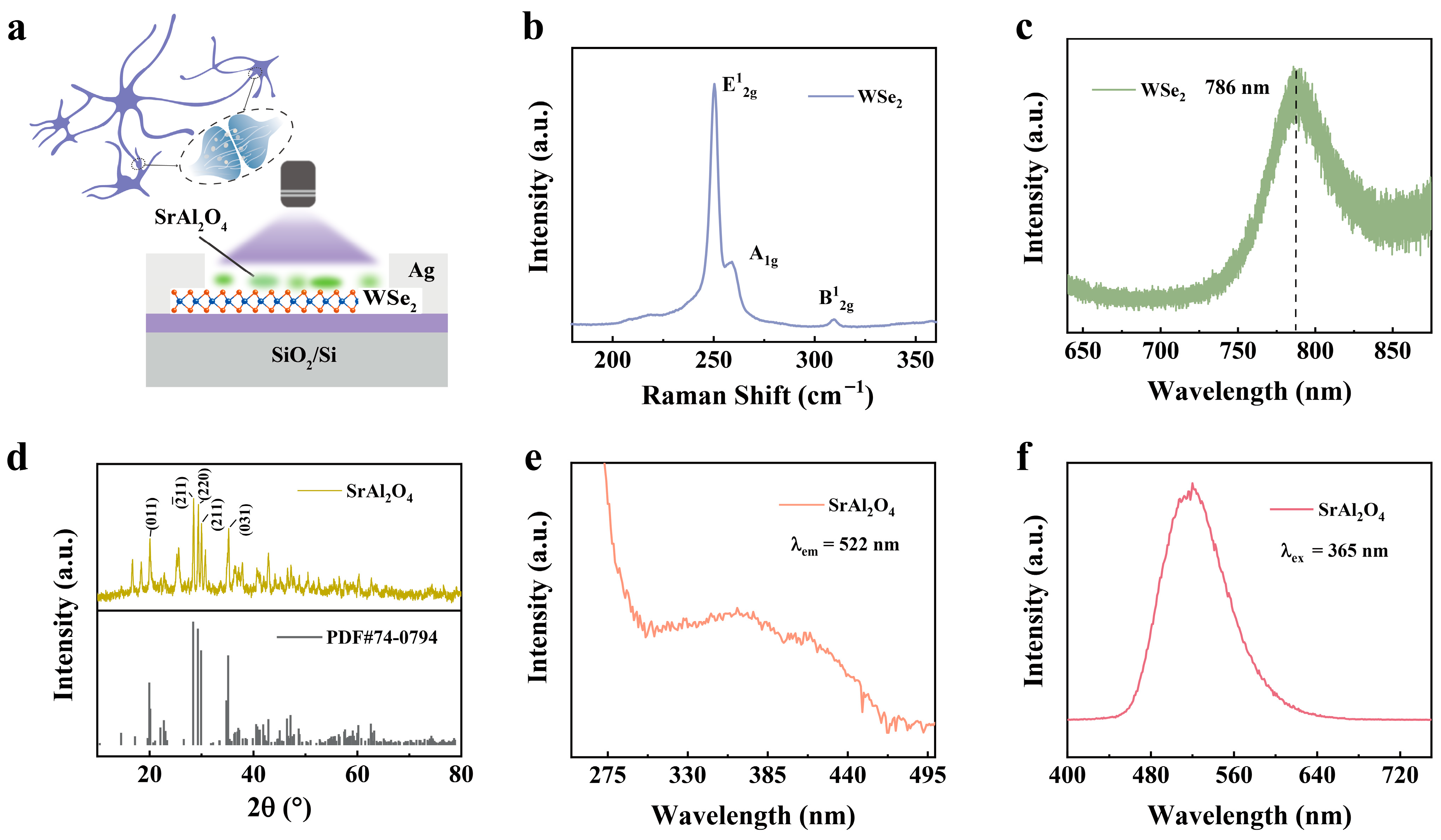 Nanomaterials 15 01890 g001 Nanomaterials 15 01890 g001