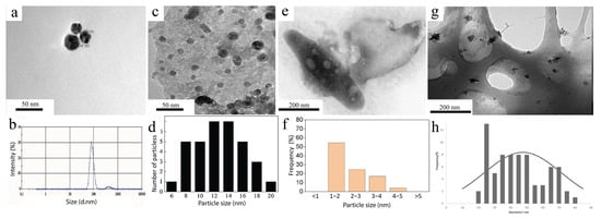 Nanomaterials 15 01899 g015
