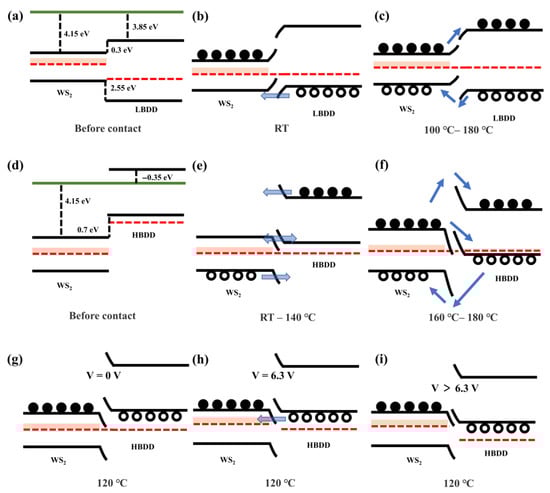 Nanomaterials 15 01900 g012