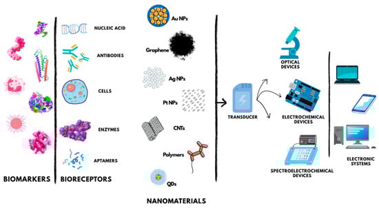 Nanomaterials 15 01905 g002