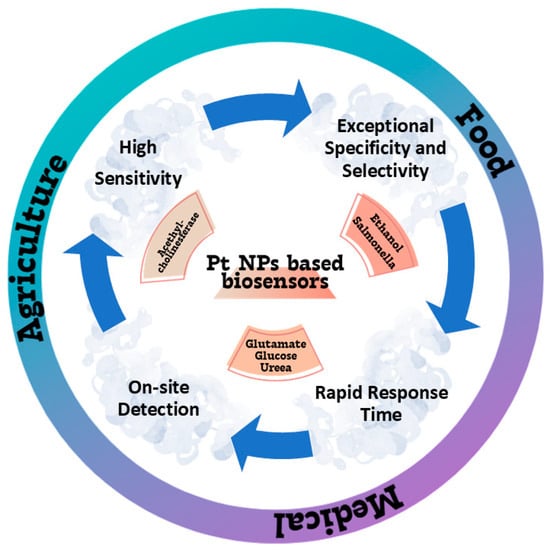 Nanomaterials 15 01905 g003