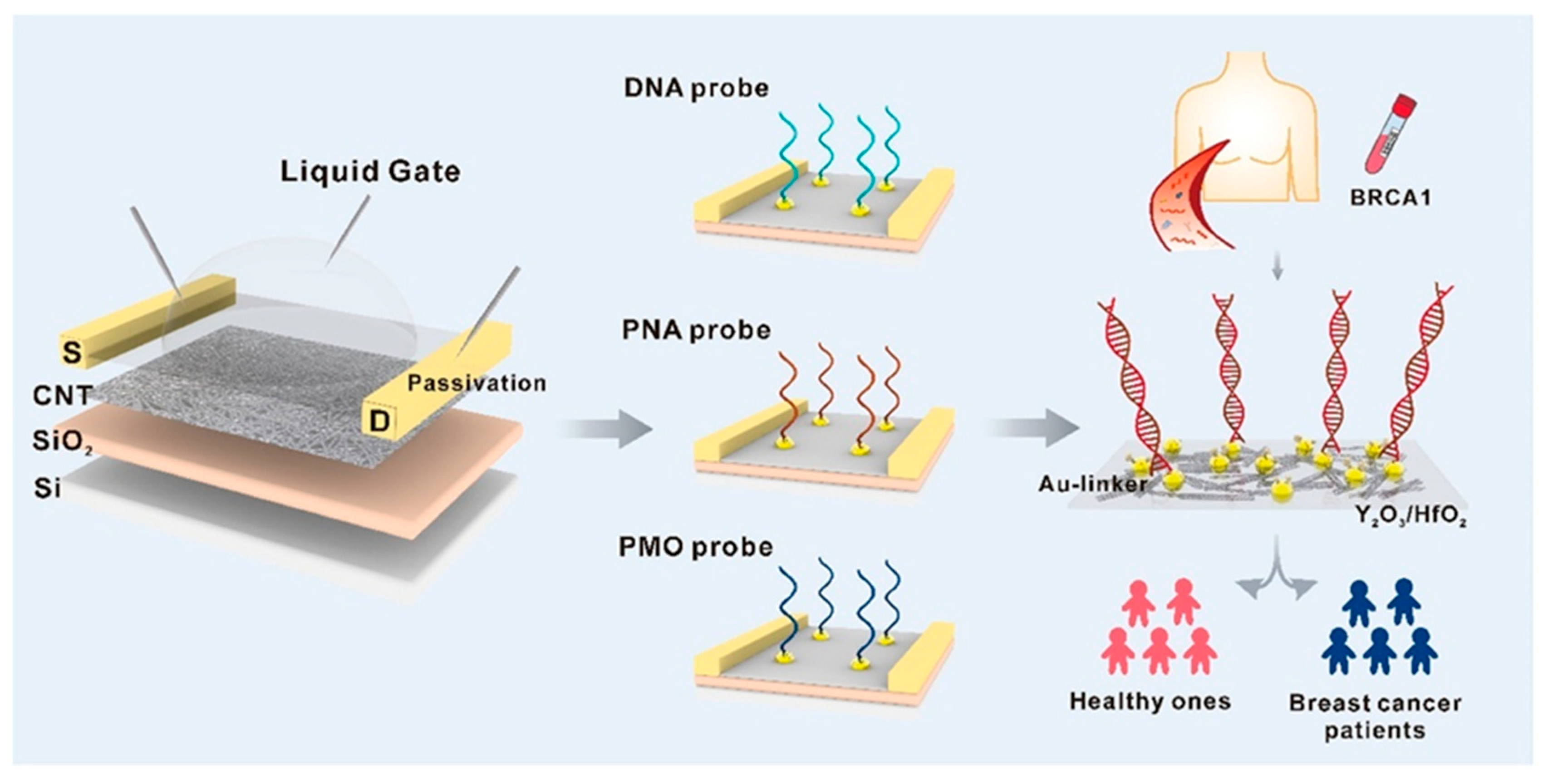 Nanomaterials 15 01905 g005 Nanomaterials 15 01905 g005