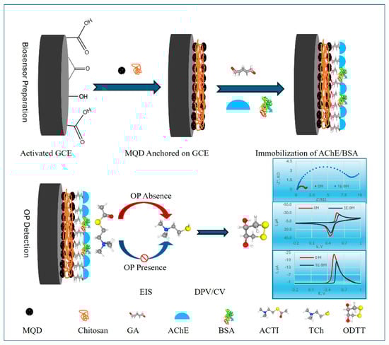 Nanomaterials 15 01905 g006