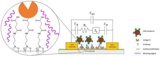 Nanomaterials 15 01905 g007