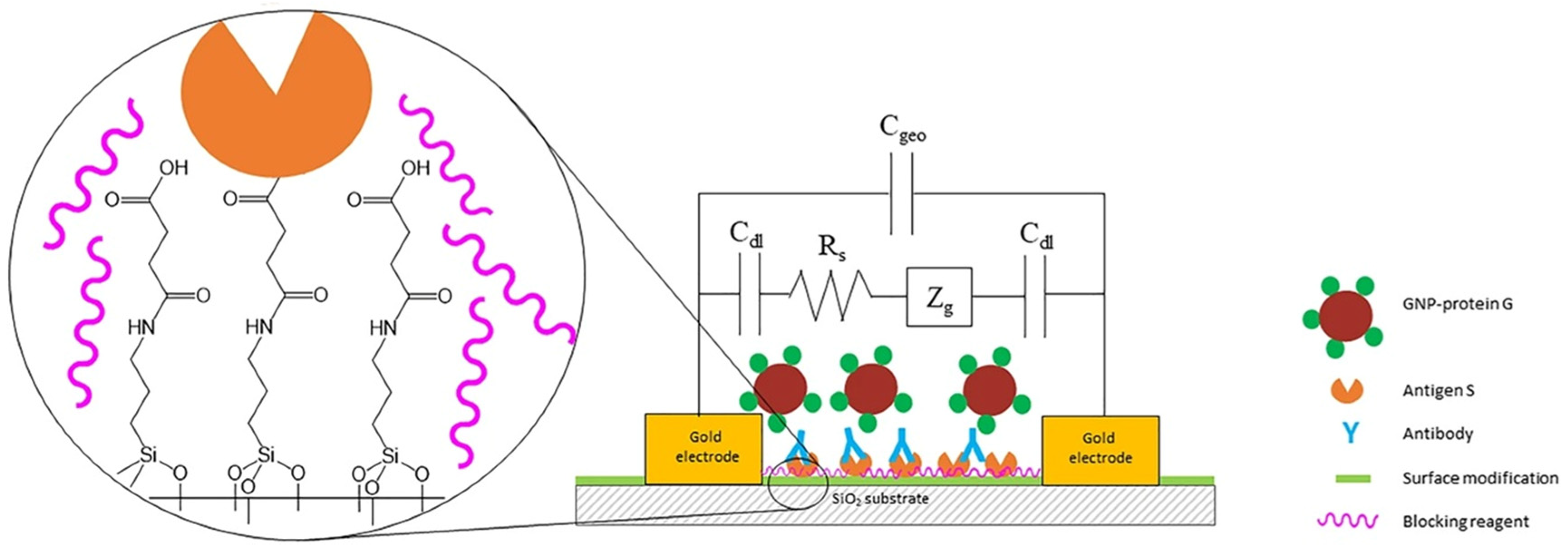 Nanomaterials 15 01905 g007 Nanomaterials 15 01905 g007