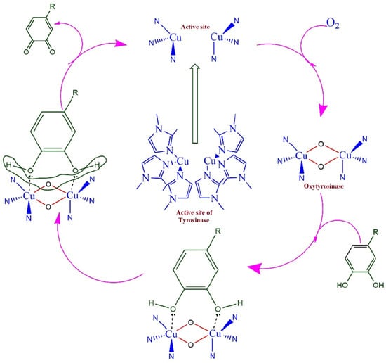 Nanomaterials 15 01905 sch001