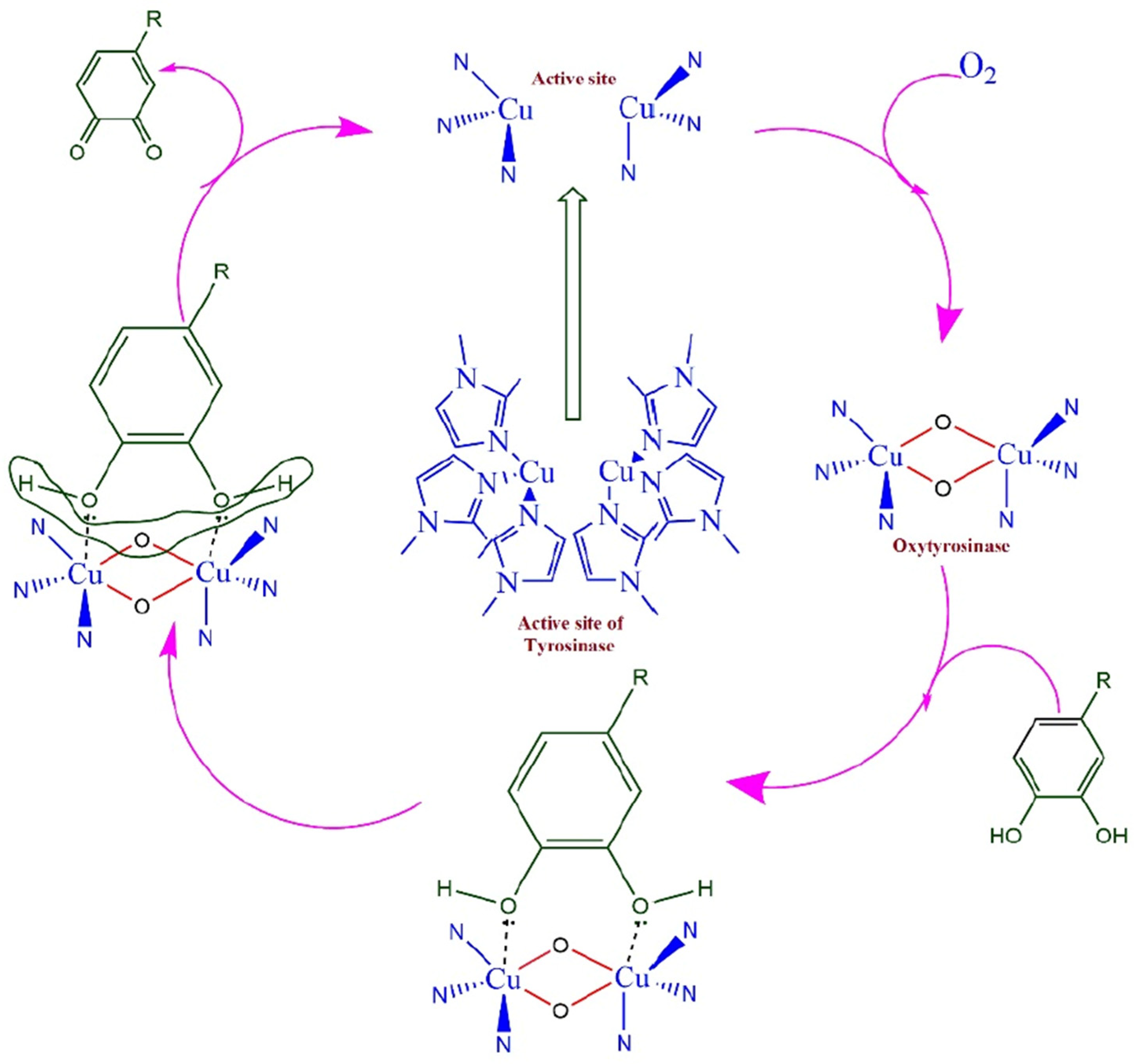Nanomaterials 15 01905 sch001 Nanomaterials 15 01905 sch001
