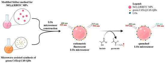 Nanomaterials 15 01905 sch002