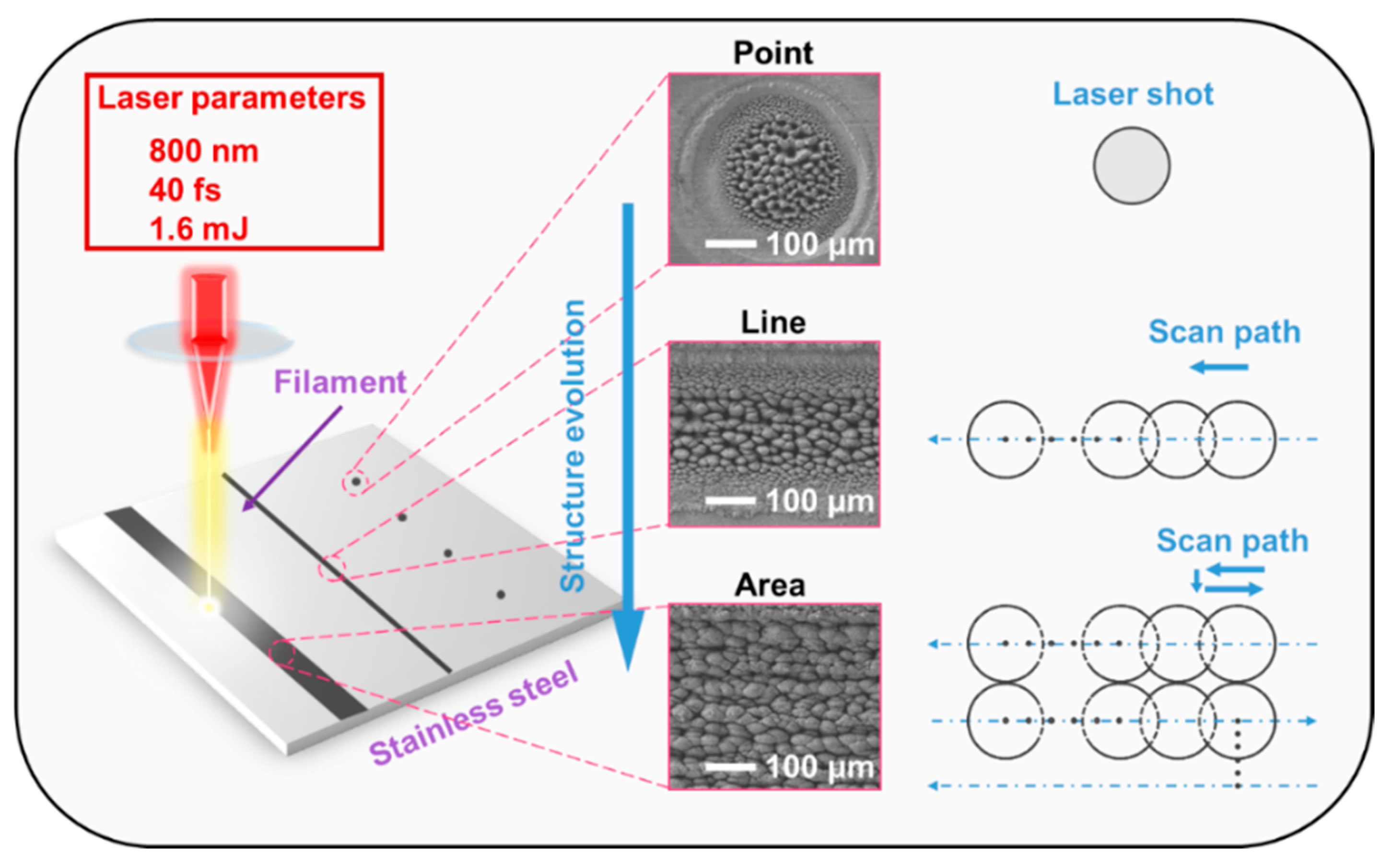 Nanomaterials 16 00037 g001 Nanomaterials 16 00037 g001