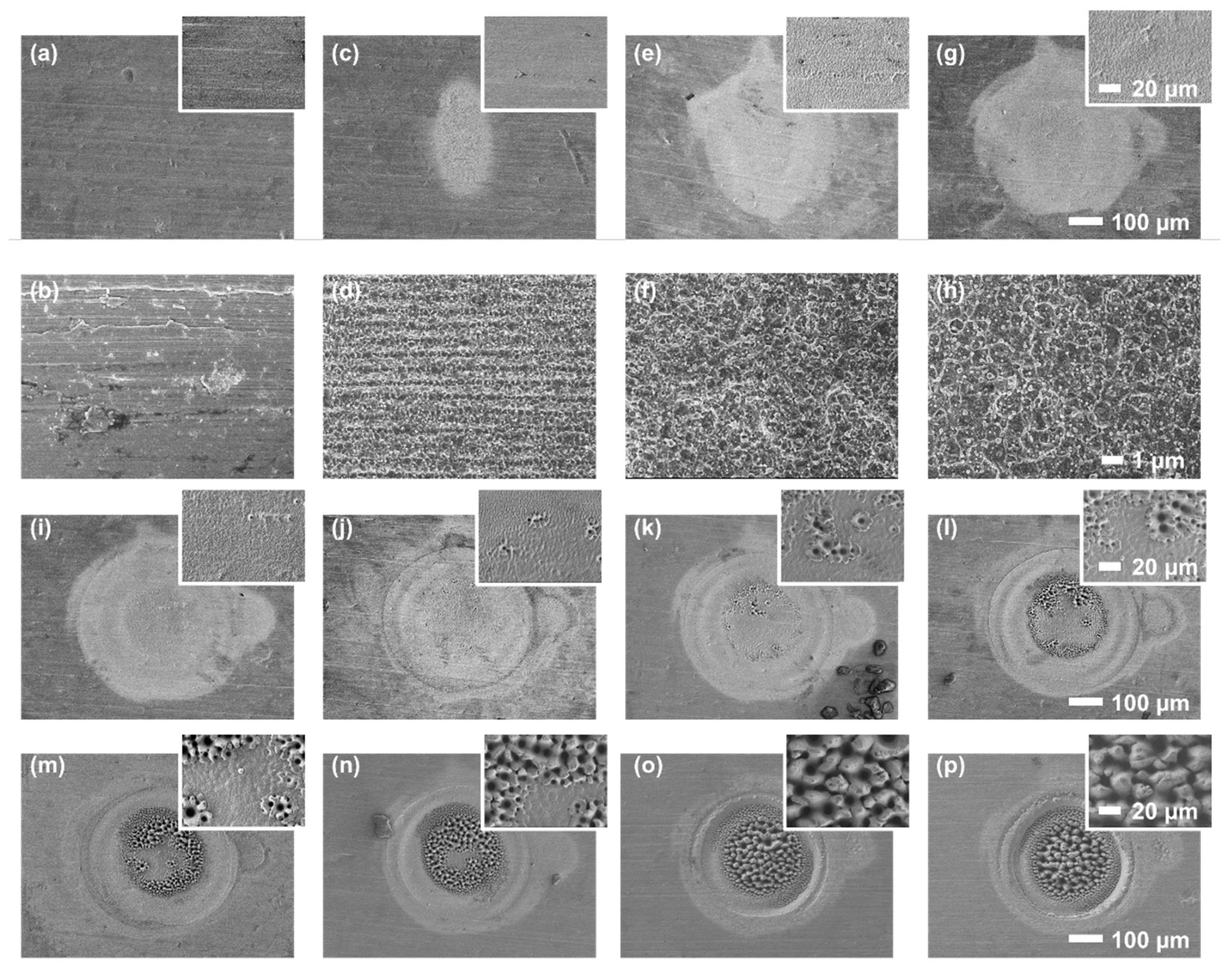 Nanomaterials 16 00037 g002 Nanomaterials 16 00037 g002