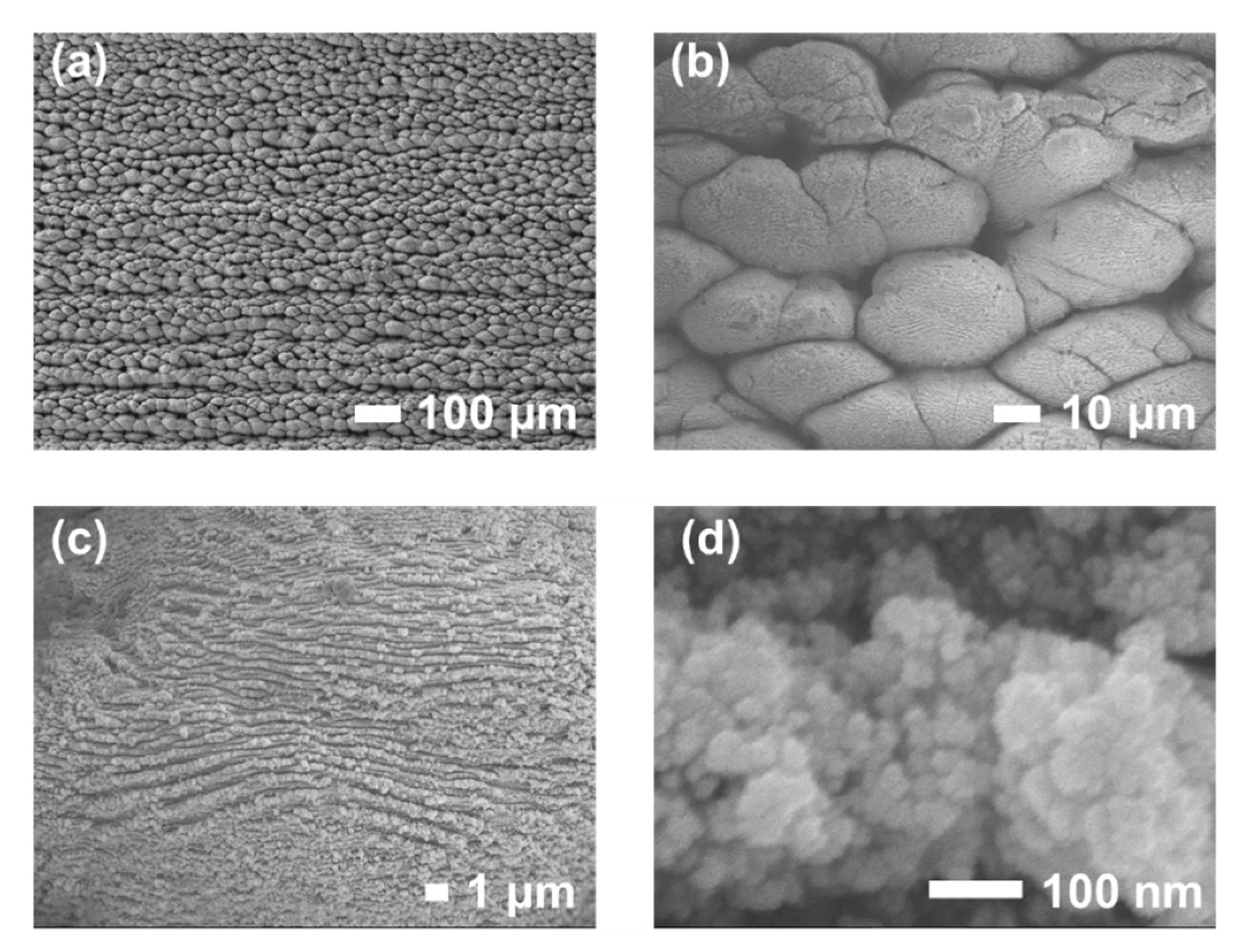 Nanomaterials 16 00037 g006 Nanomaterials 16 00037 g006