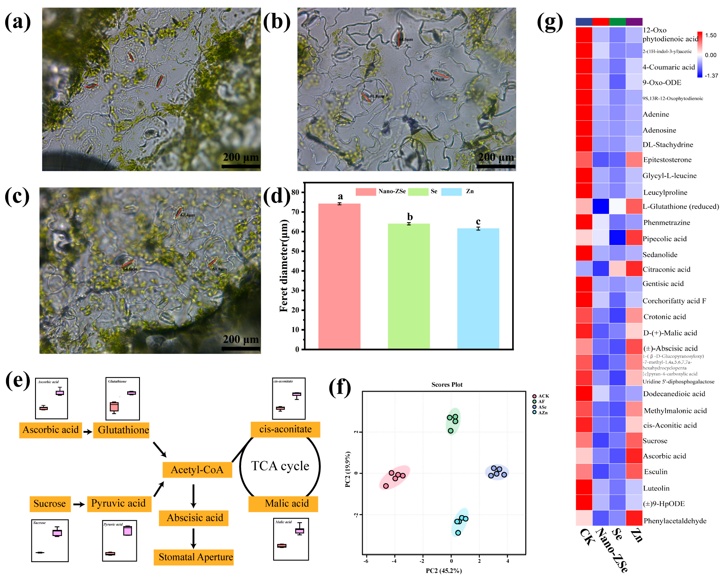 Nanomaterials 16 00056 g002 Nanomaterials 16 00056 g002