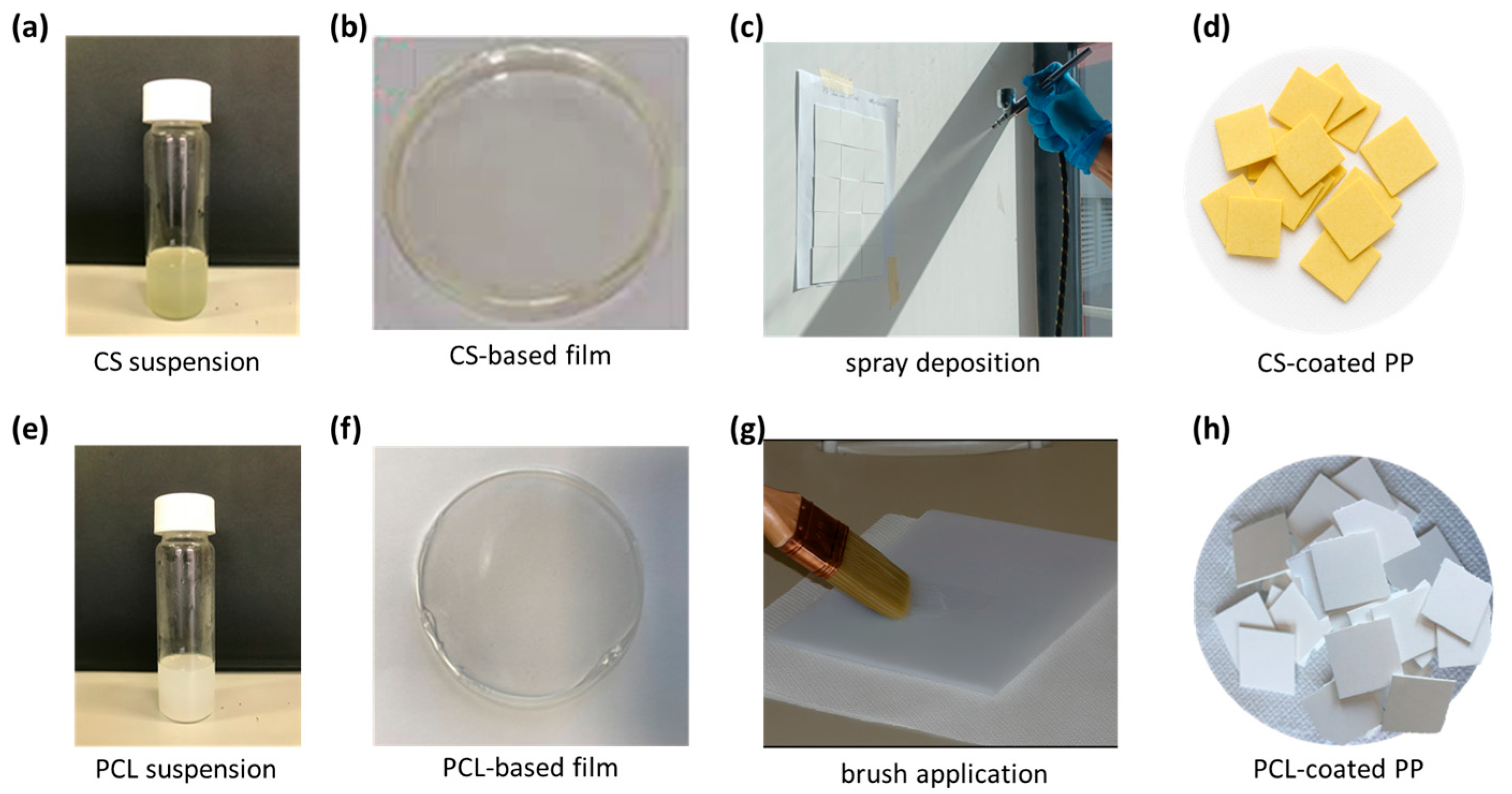 Nanomaterials 16 00080 g001