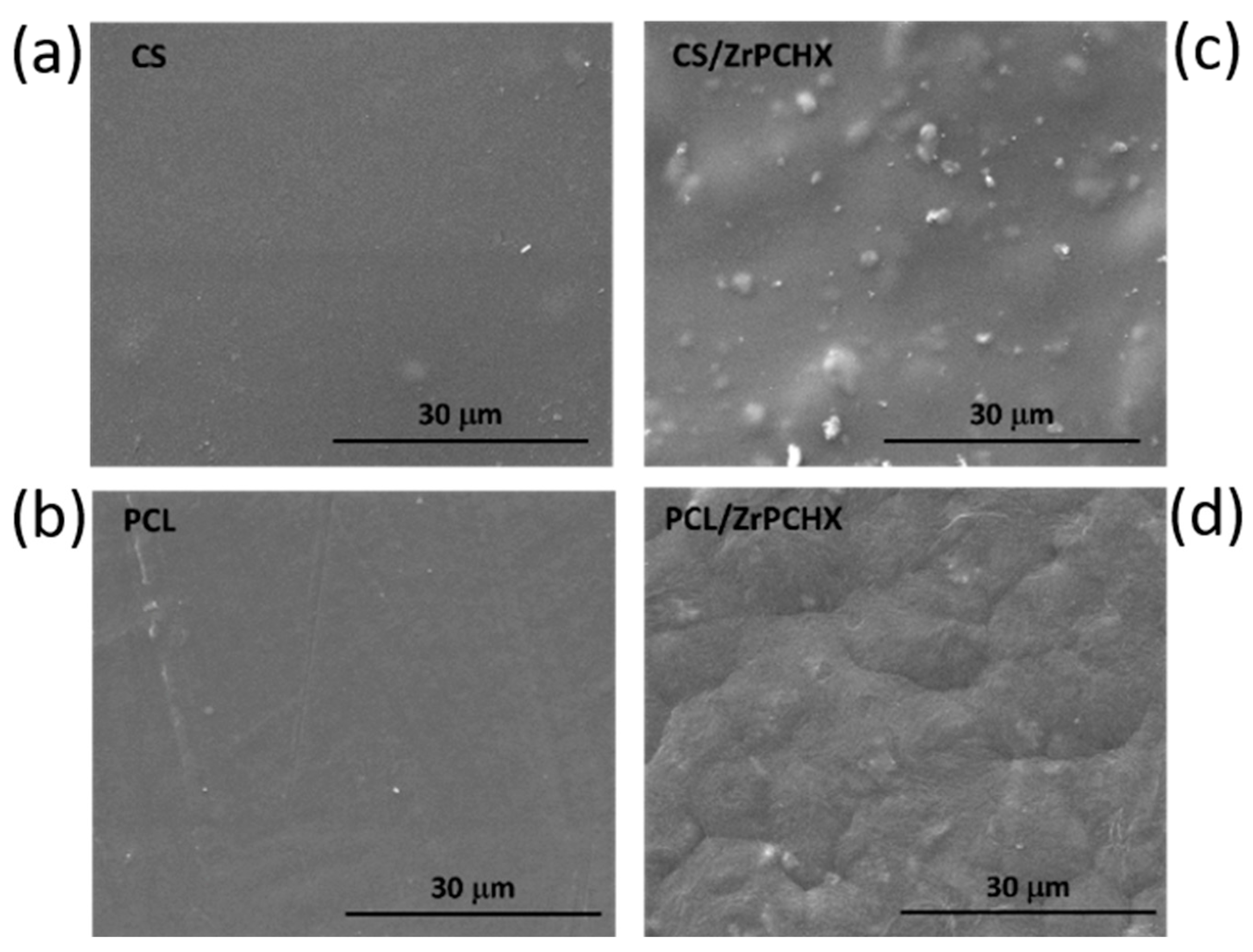 Nanomaterials 16 00080 g008