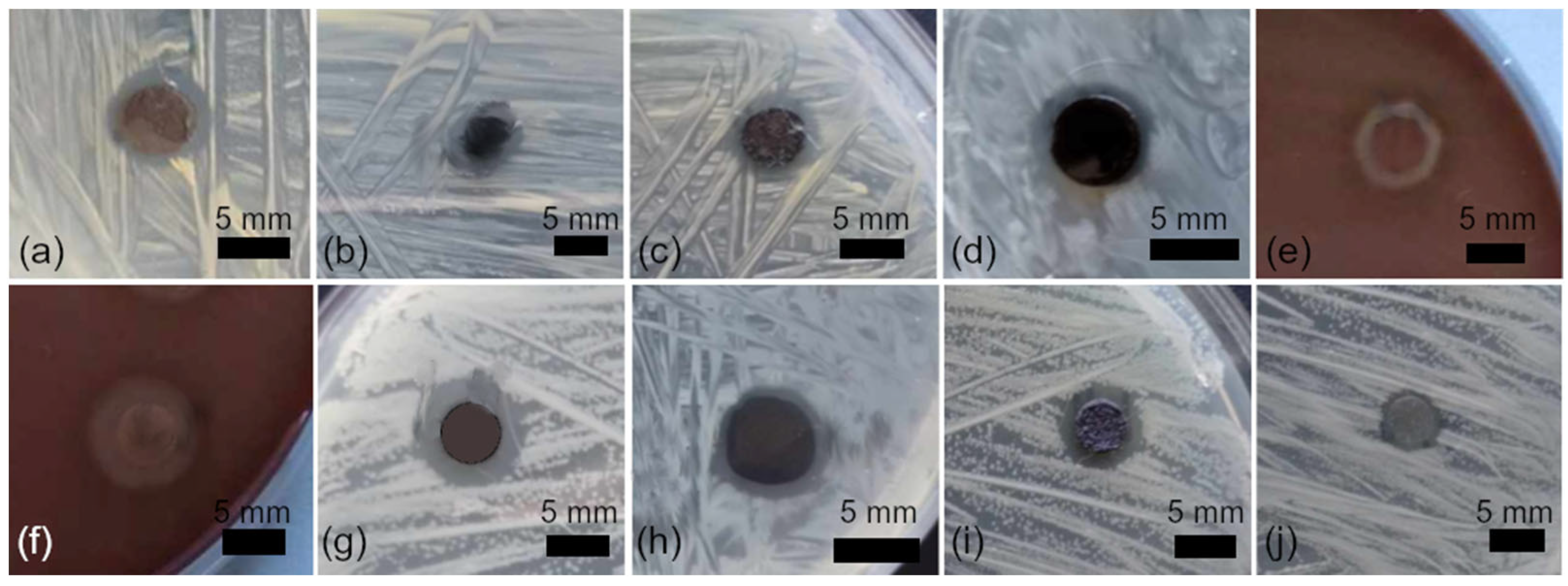 Nanomaterials 16 00098 g008 Nanomaterials 16 00098 g008